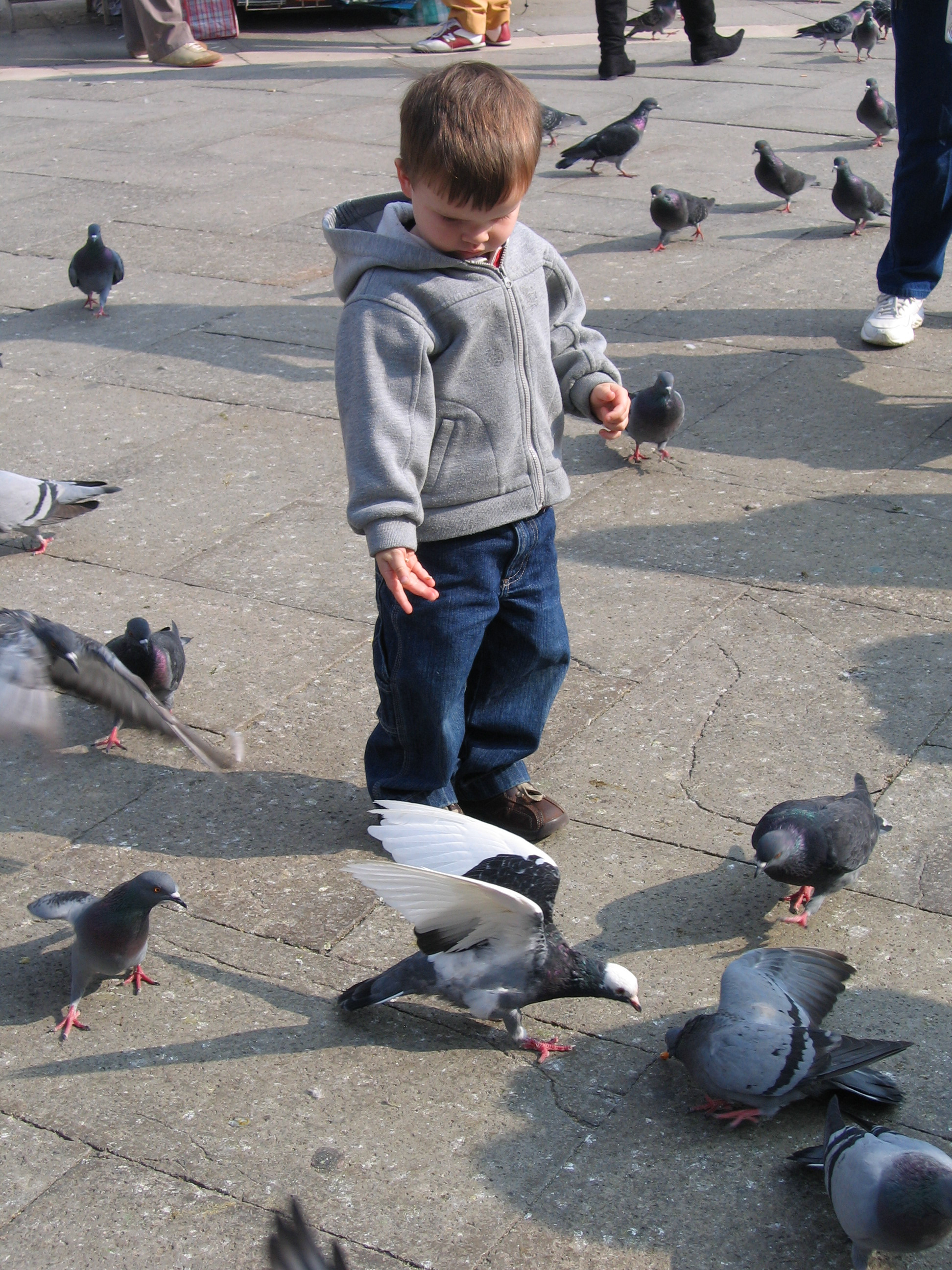 Europe Trip 2005 - Italy (Venice - Pigeons, St Mark's Basilica / Square / Clocktower, Gondola Ride, Gelato)