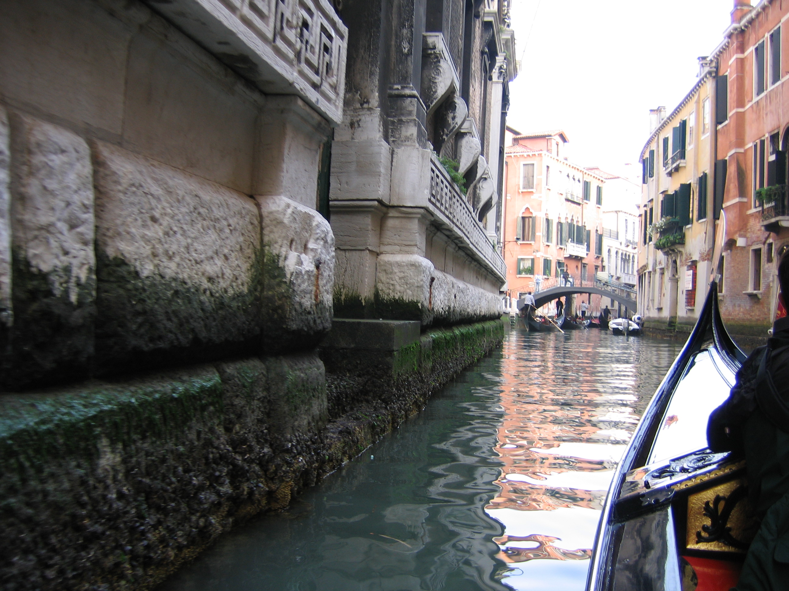 Europe Trip 2005 - Italy (Venice - Pigeons, St Mark's Basilica / Square / Clocktower, Gondola Ride, Gelato)