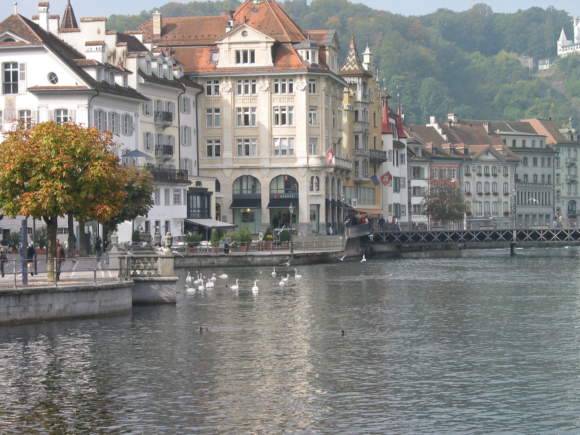 Europe Trip 2005 - Switzerland (Lucerne - The Chapel Bridge (Kapellbrucke) and Water Tower (Wasserturm), Feeding the Swans)