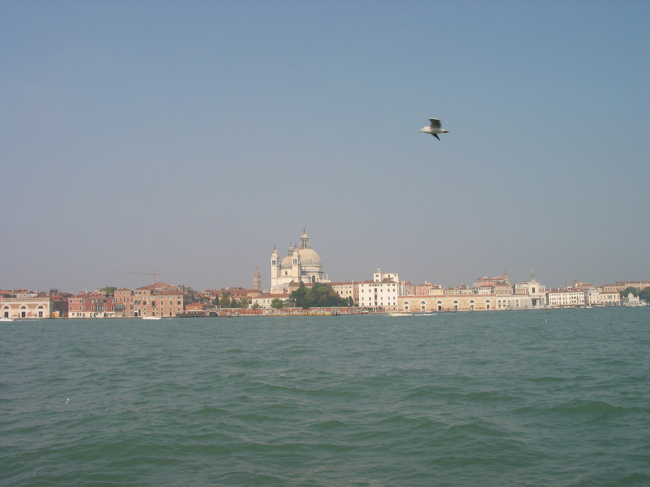 Europe Trip 2005 - Italy (Venice - Pigeons, St Mark's Basilica / Square / Clocktower, Gondola Ride, Gelato)