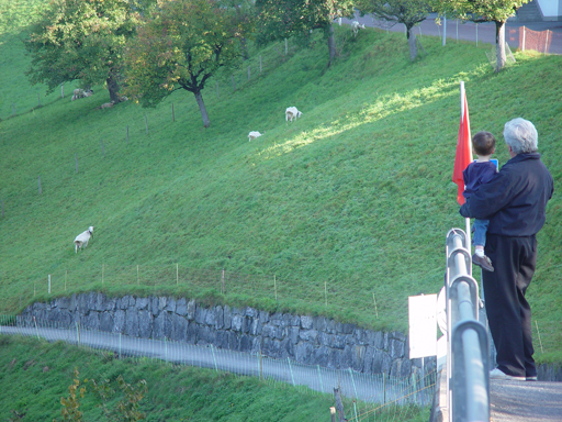 Europe Trip 2005 - Switzerland (Sigisvil - Lodge in the Alps, Swiss Cow Bells, Waterfall Hike, German Potato Salad, Spaetzle)