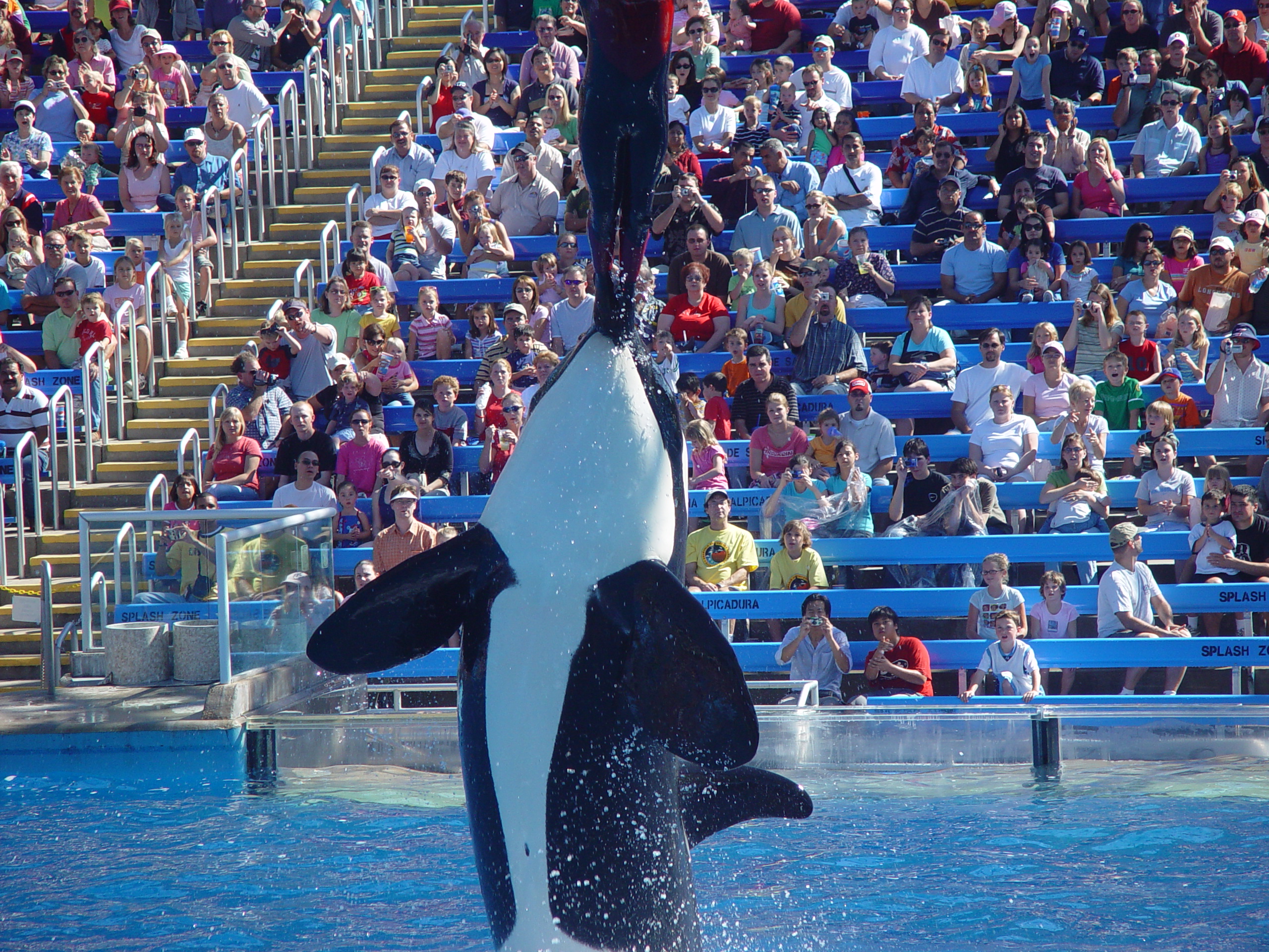 Ava's 1st Birthday (Sea World, Birthday Party)