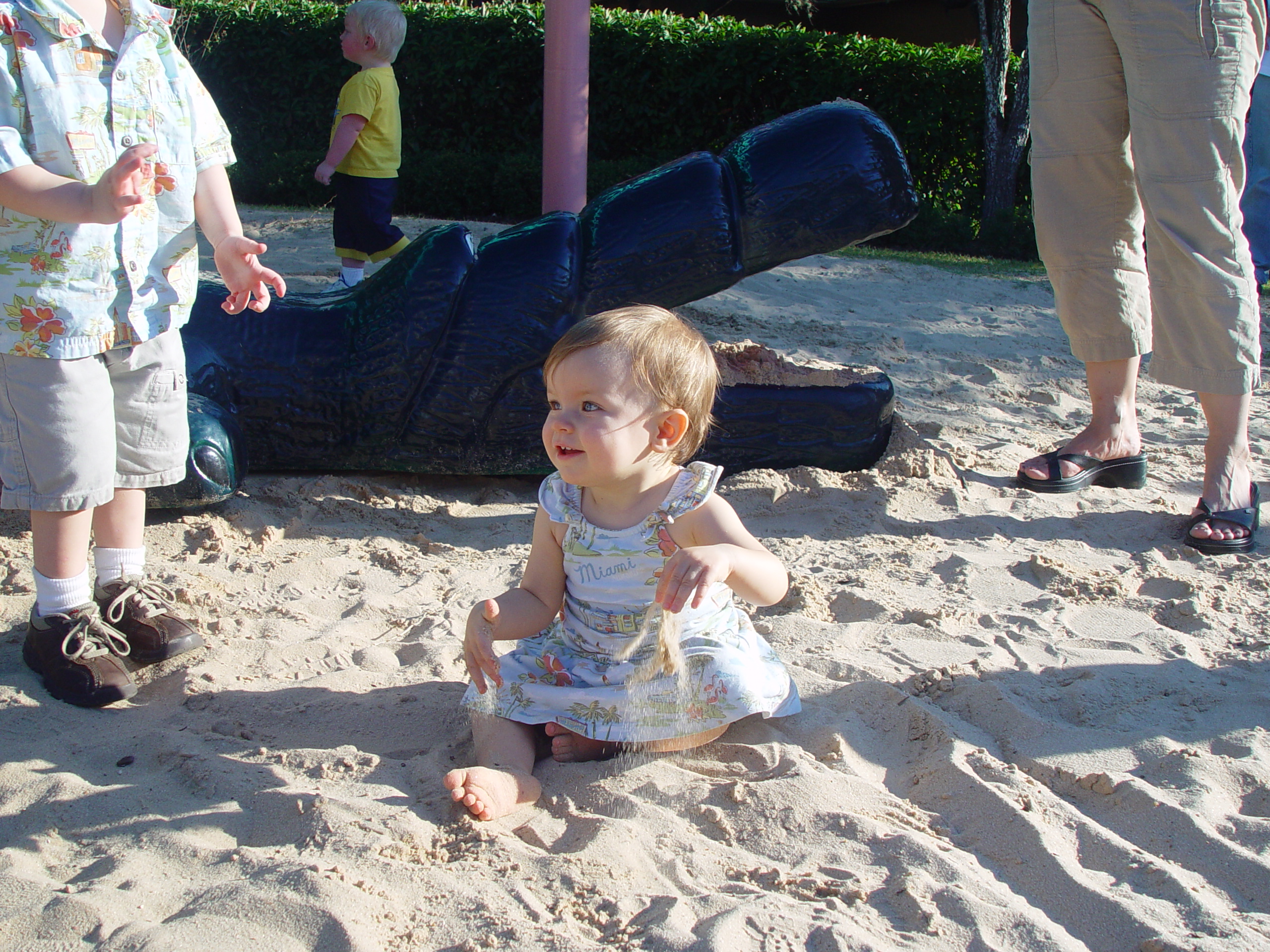 Ava's 1st Birthday (Sea World, Birthday Party)