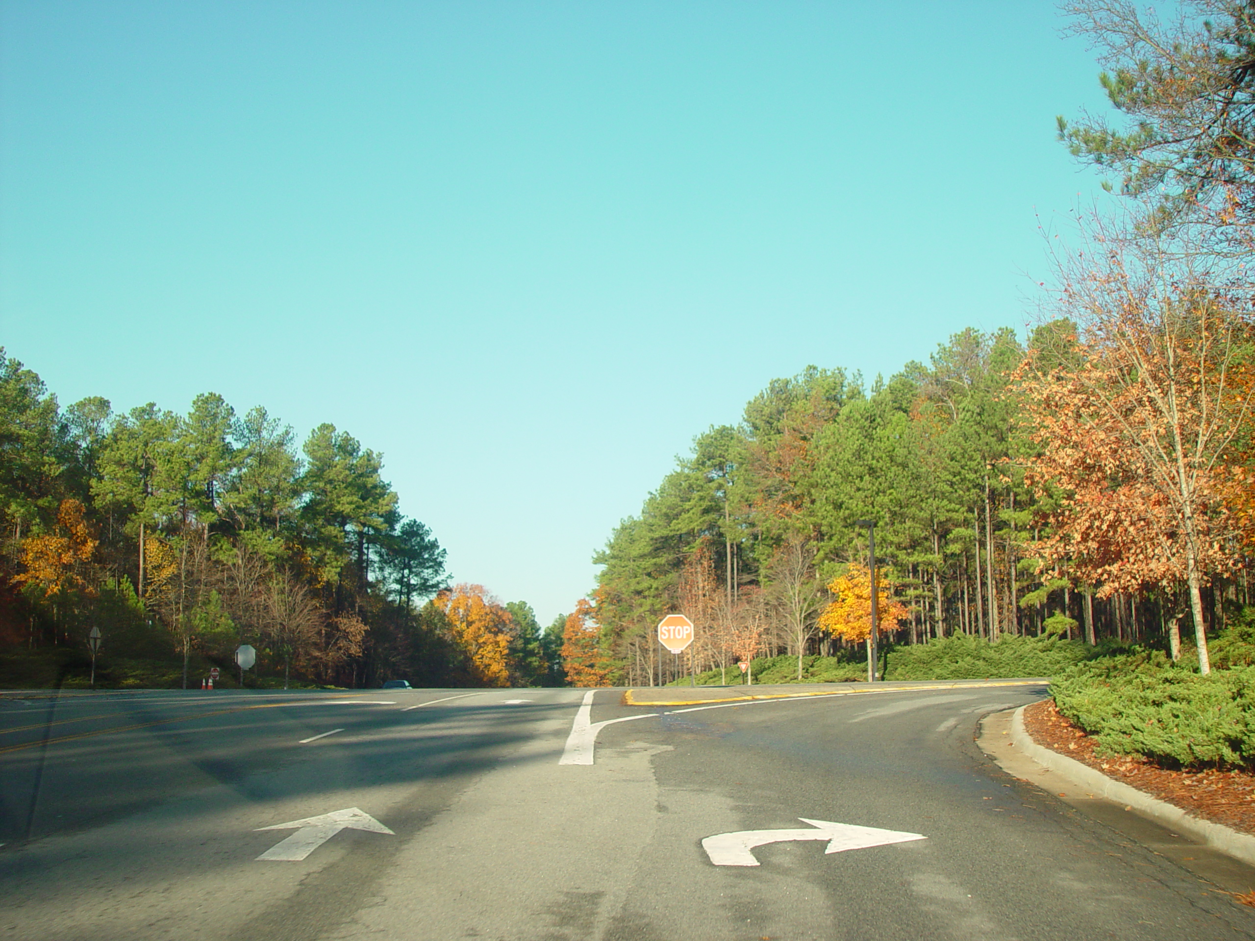 IBM Business Trip - Raleigh, North Carolina - Tar Heels Game vs. Illinois