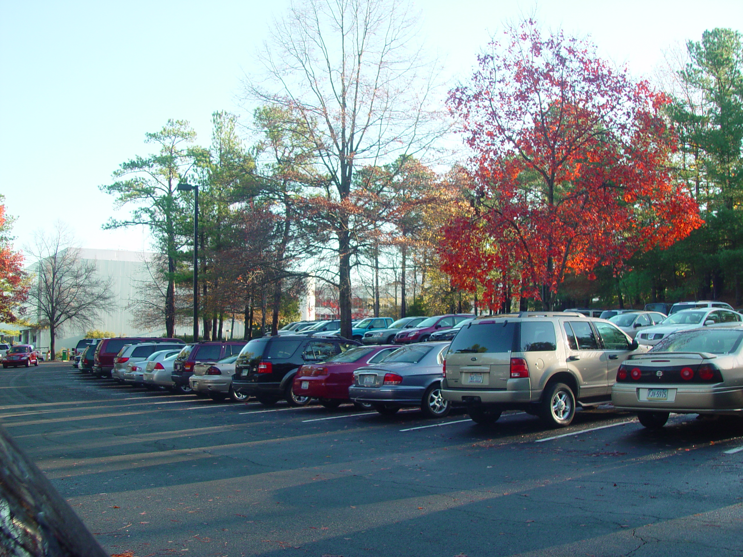 IBM Business Trip - Raleigh, North Carolina - Tar Heels Game vs. Illinois
