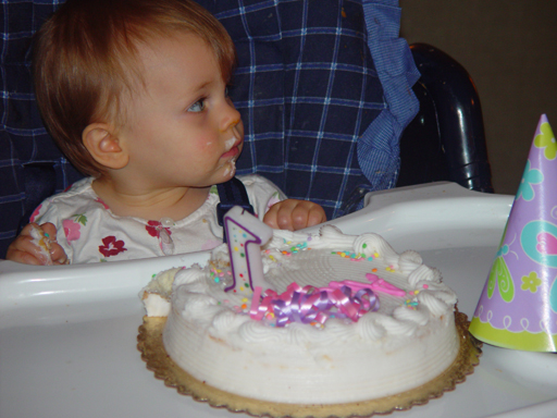 Ava's 1st Birthday (Sea World, Birthday Party)