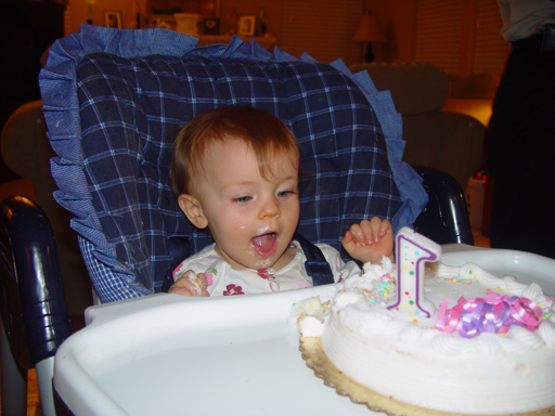 Ava's 1st Birthday (Sea World, Birthday Party)