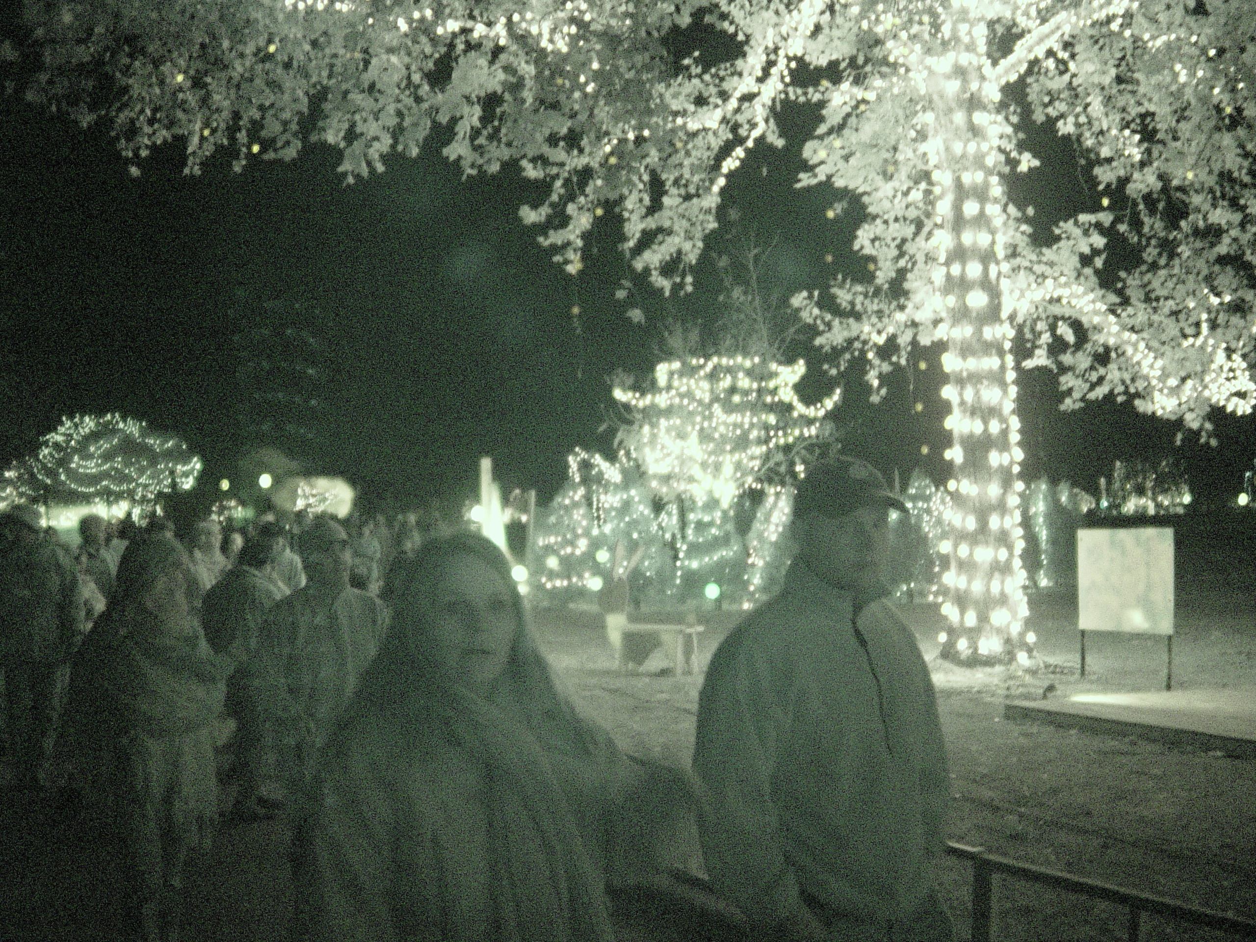 Christmas 2005 - Austin Trail of Lights, Making Cotton Candy