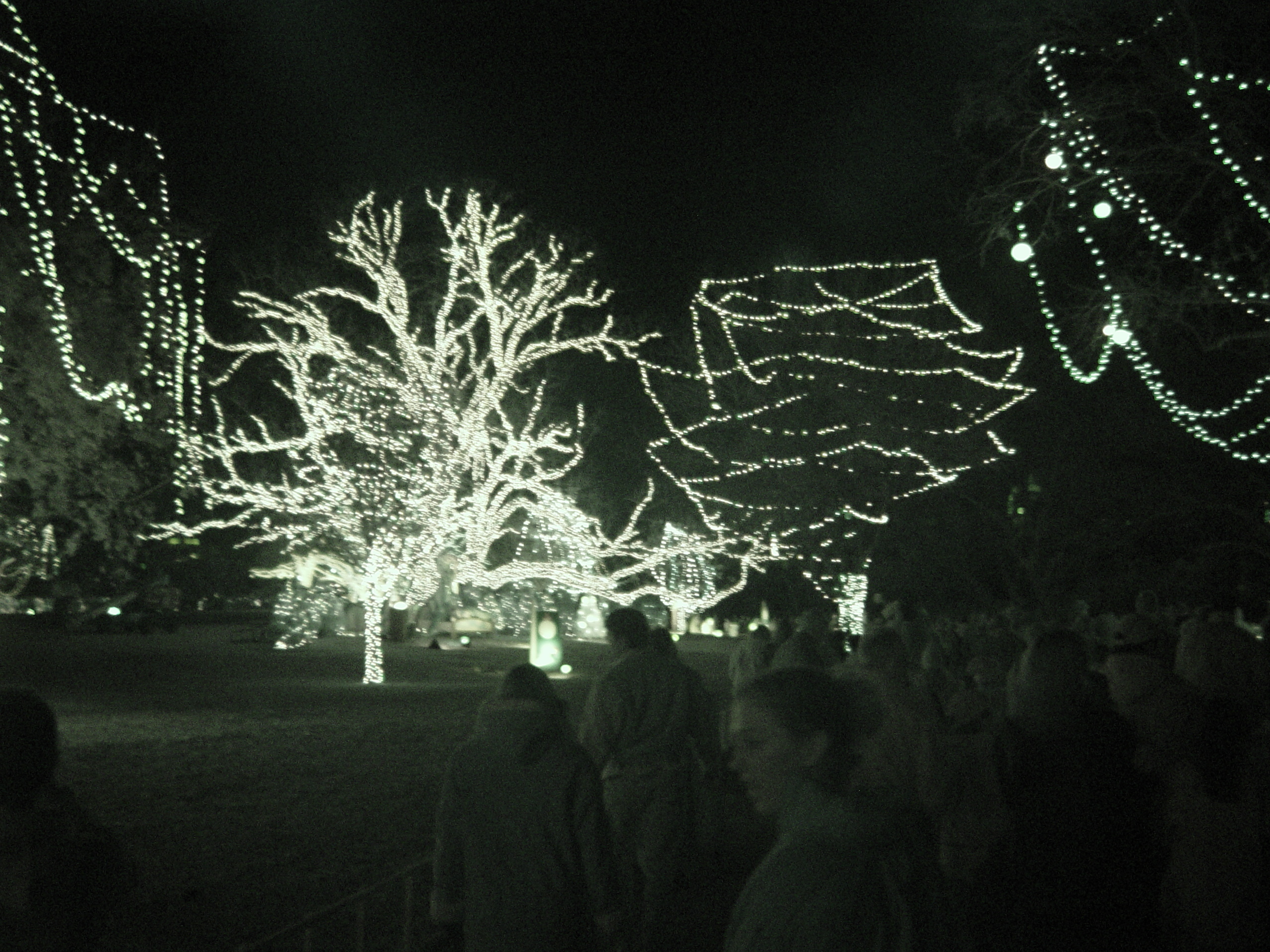 Christmas 2005 - Austin Trail of Lights, Making Cotton Candy