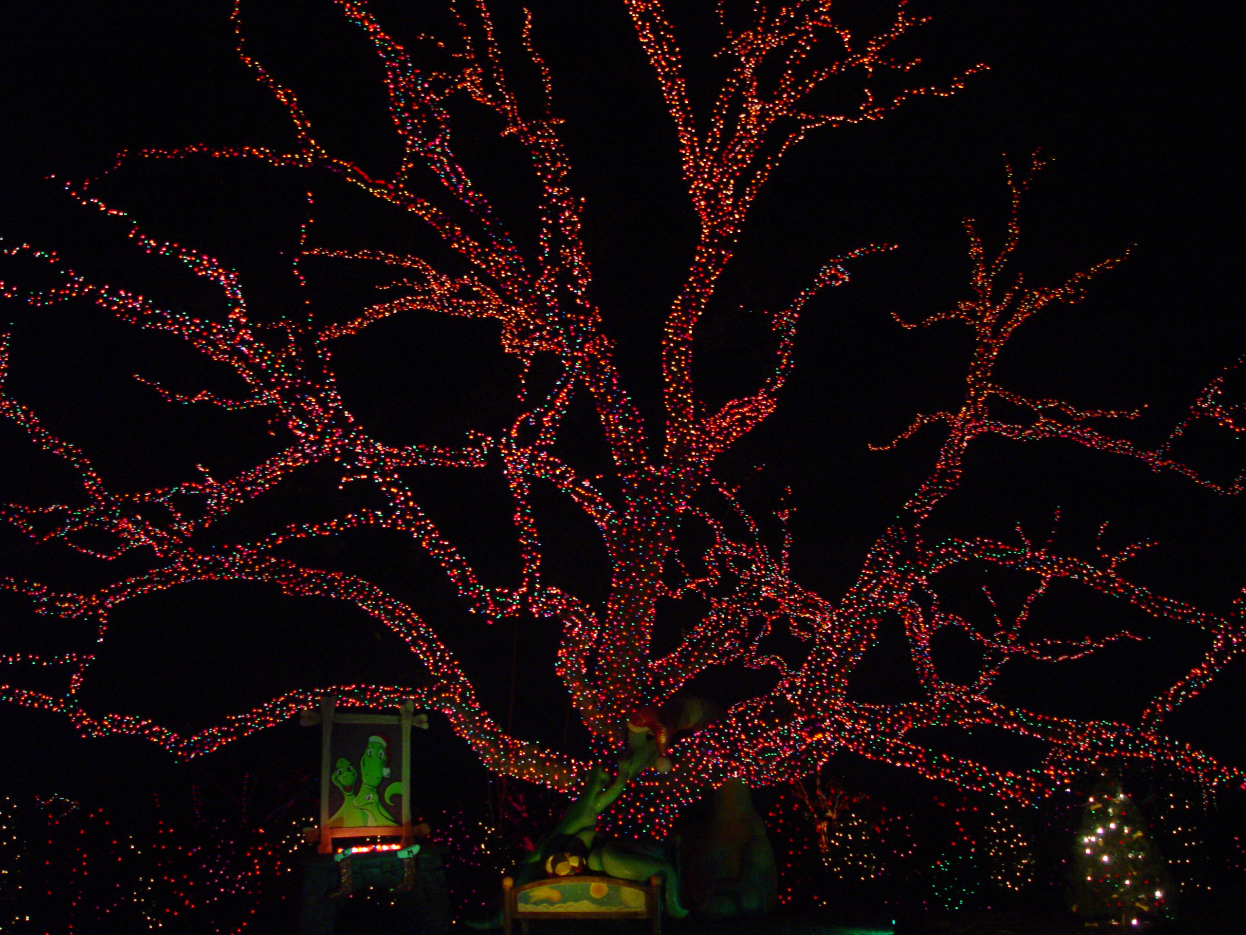 Christmas 2005 - Austin Trail of Lights, Making Cotton Candy