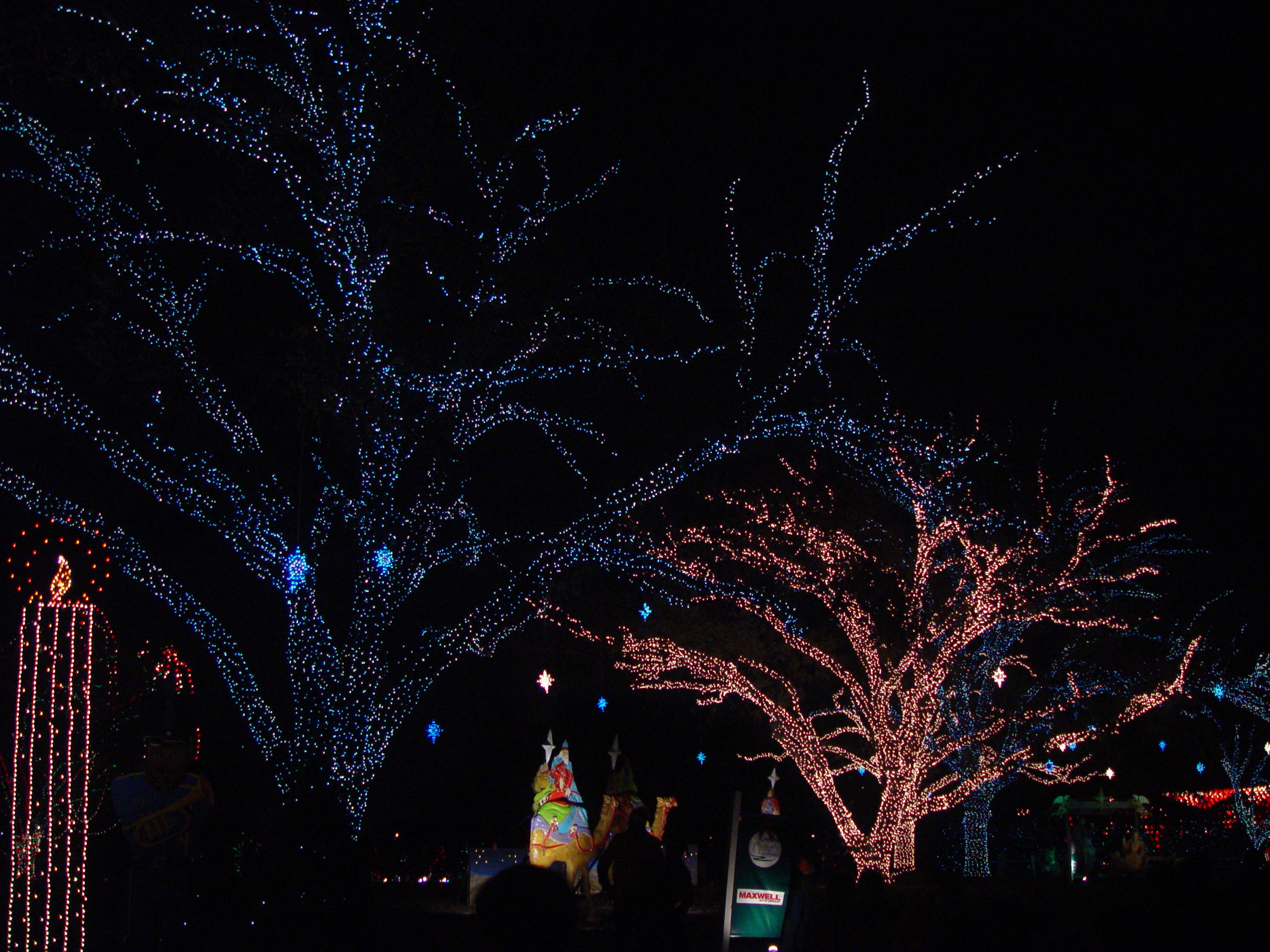 Christmas 2005 - Austin Trail of Lights, Making Cotton Candy