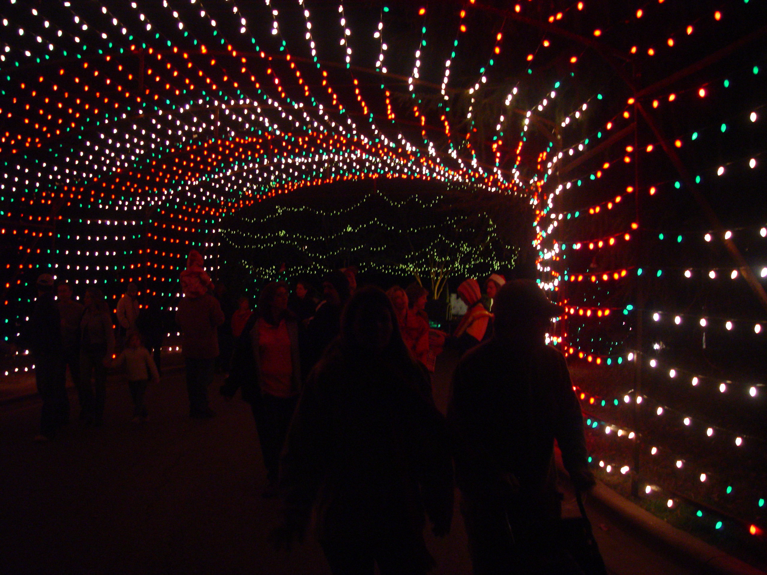Christmas 2005 - Austin Trail of Lights, Making Cotton Candy