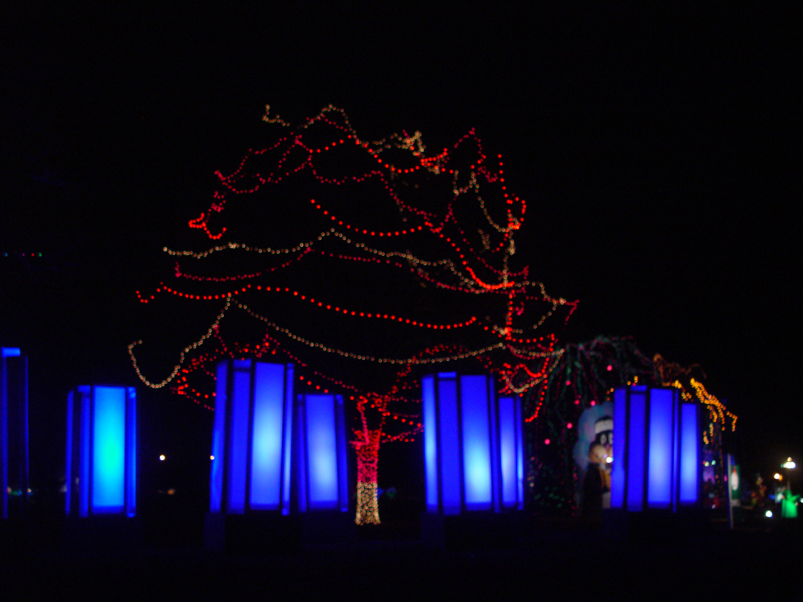 Christmas 2005 - Austin Trail of Lights, Making Cotton Candy