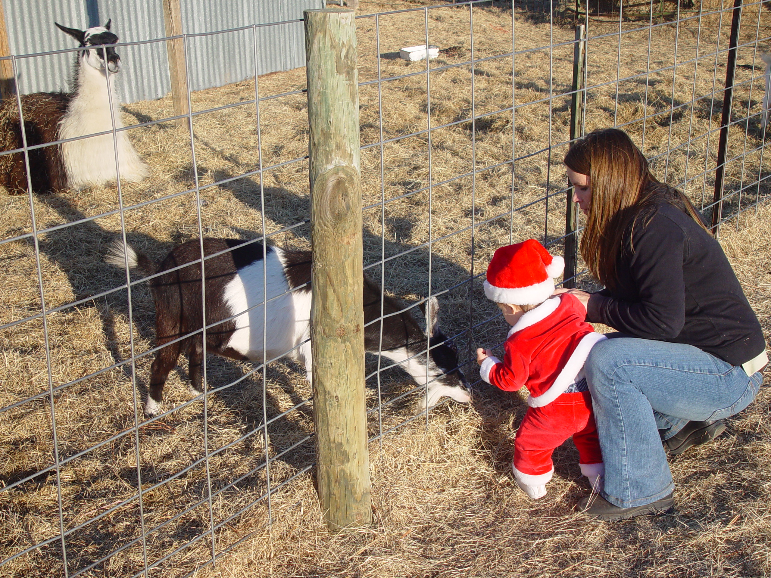 Christmas 2005 - Mr. & Mrs. Santa, Elgin Sausage, Christmas Tree Farm