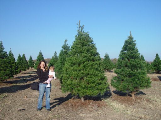 Christmas Tree Hunting (Elgin Christmas Tree Farm)