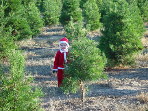 Christmas 2005 - Mr. & Mrs. Santa, Elgin Sausage, Christmas Tree Farm