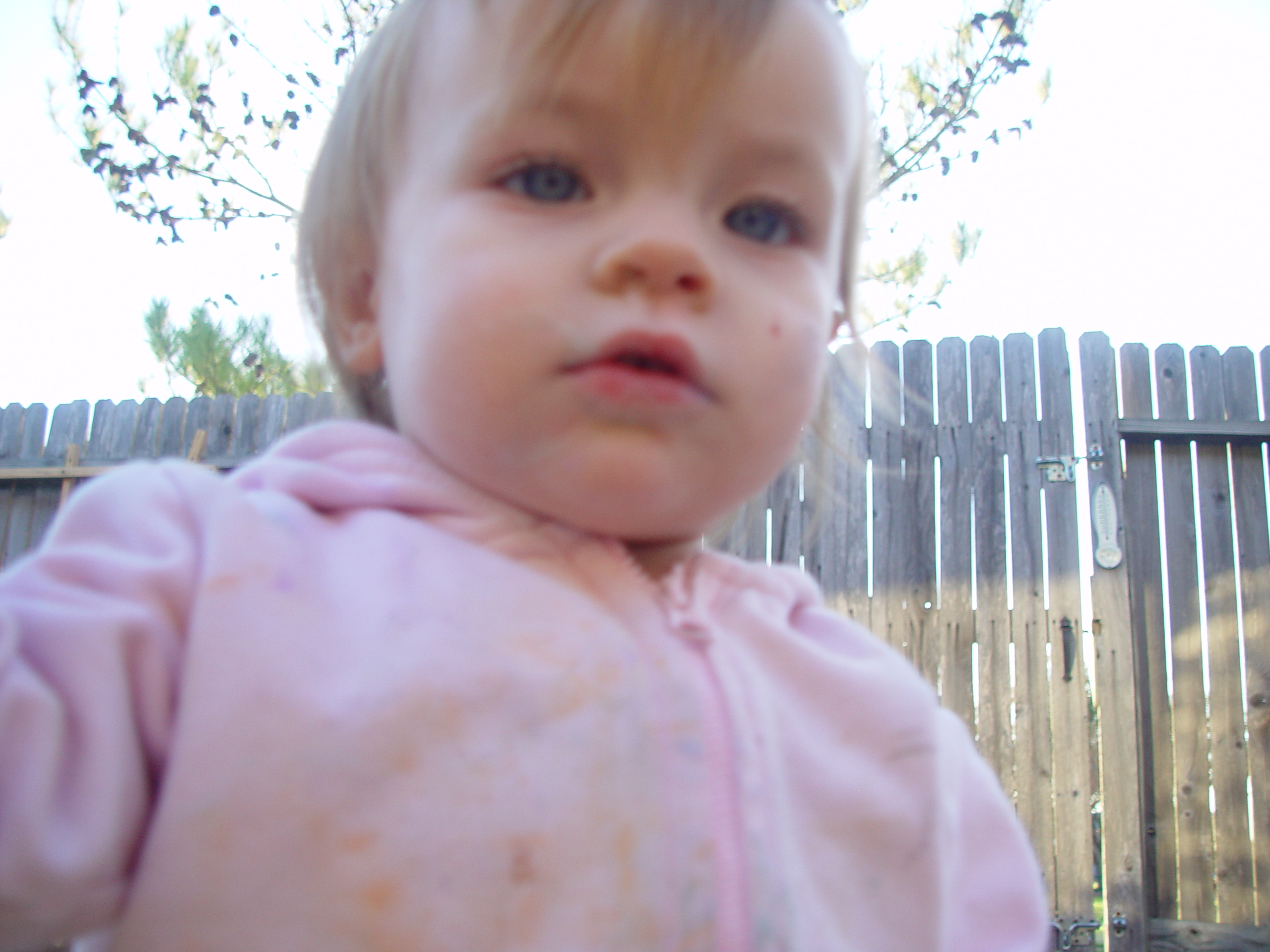 Coloring the Sidewalk w/ Ethan (Pearland, Texas), Planting Ava's Tree