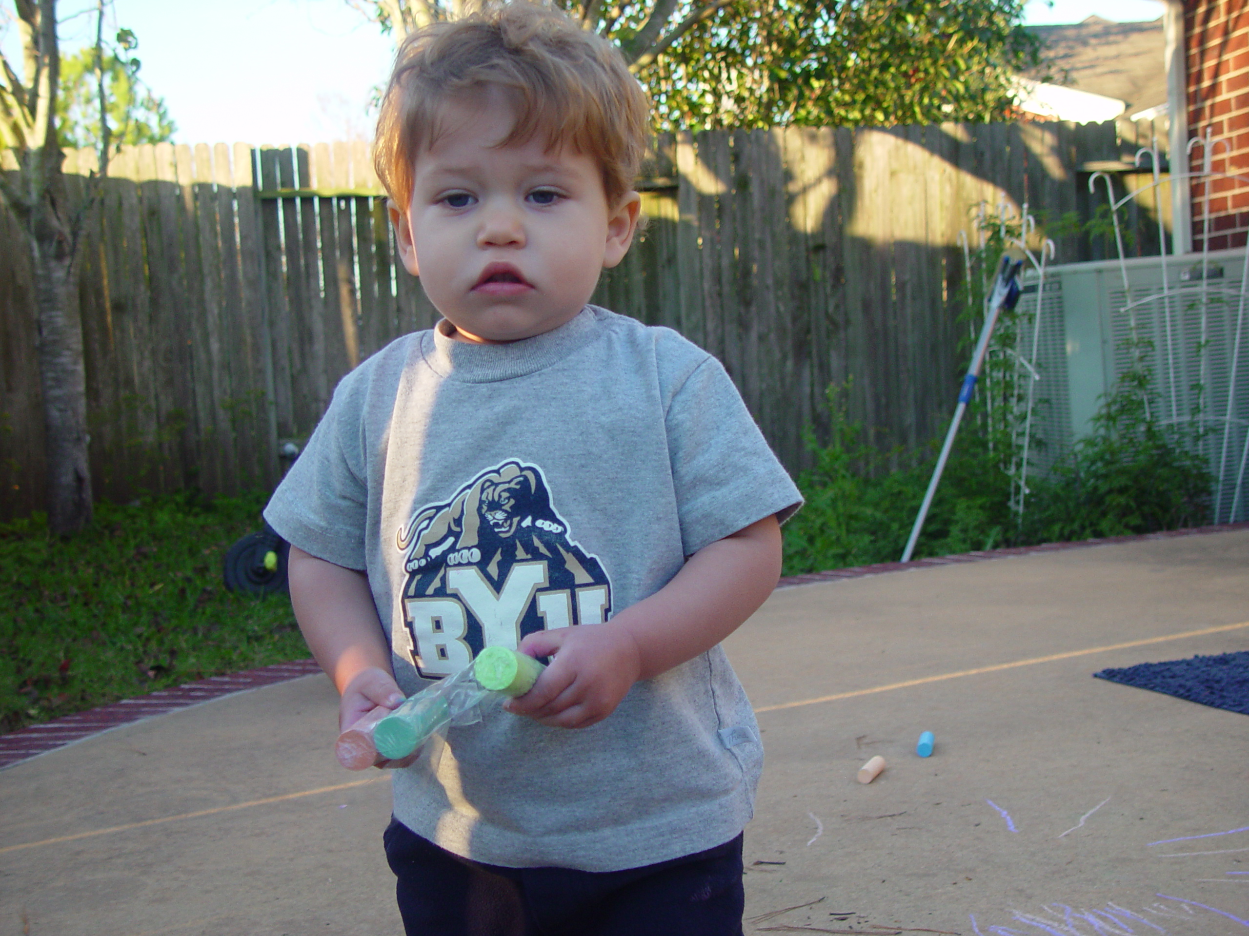 Coloring the Sidewalk w/ Ethan (Pearland, Texas), Planting Ava's Tree