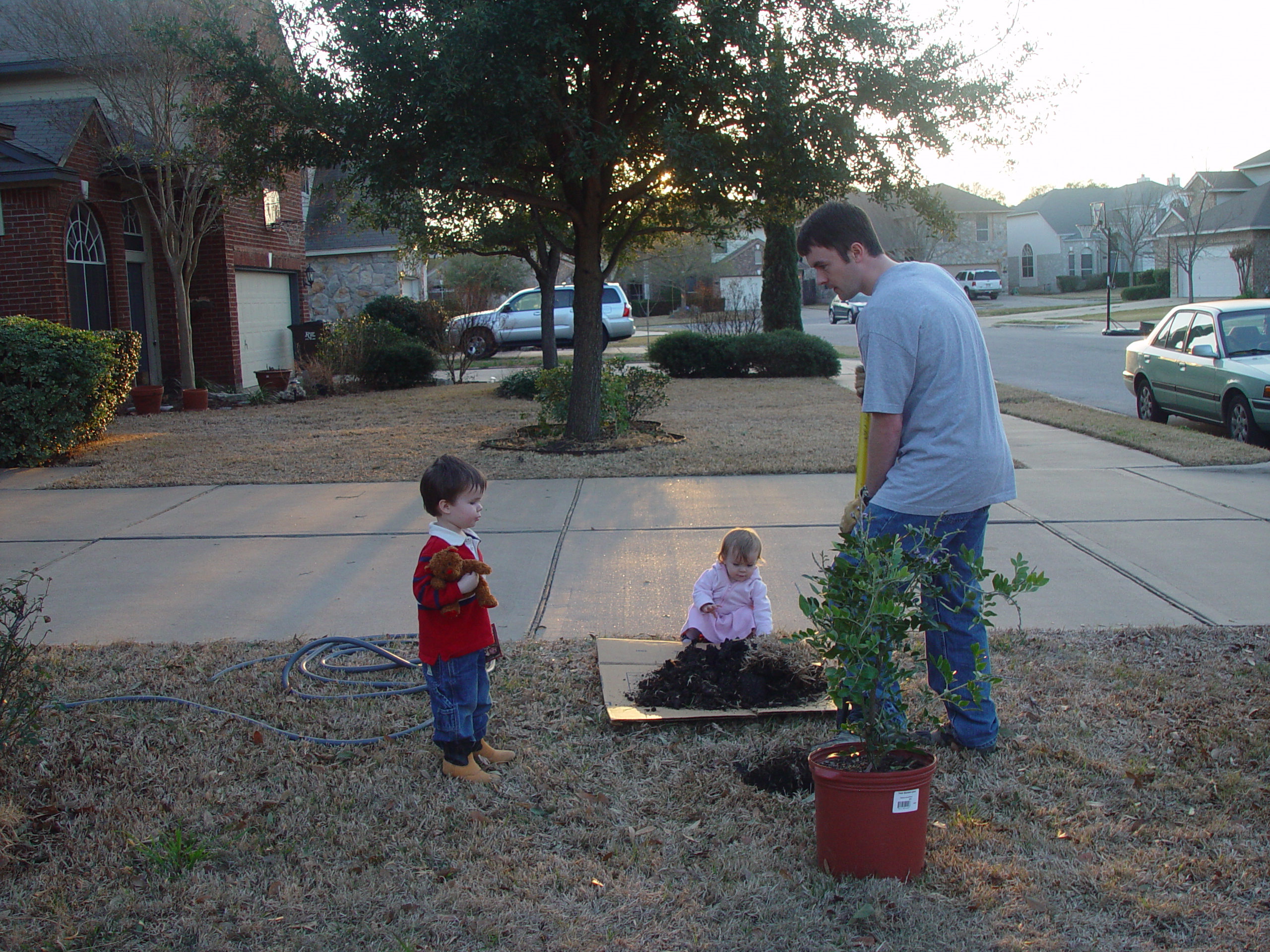 Coloring the Sidewalk w/ Ethan (Pearland, Texas), Planting Ava's Tree