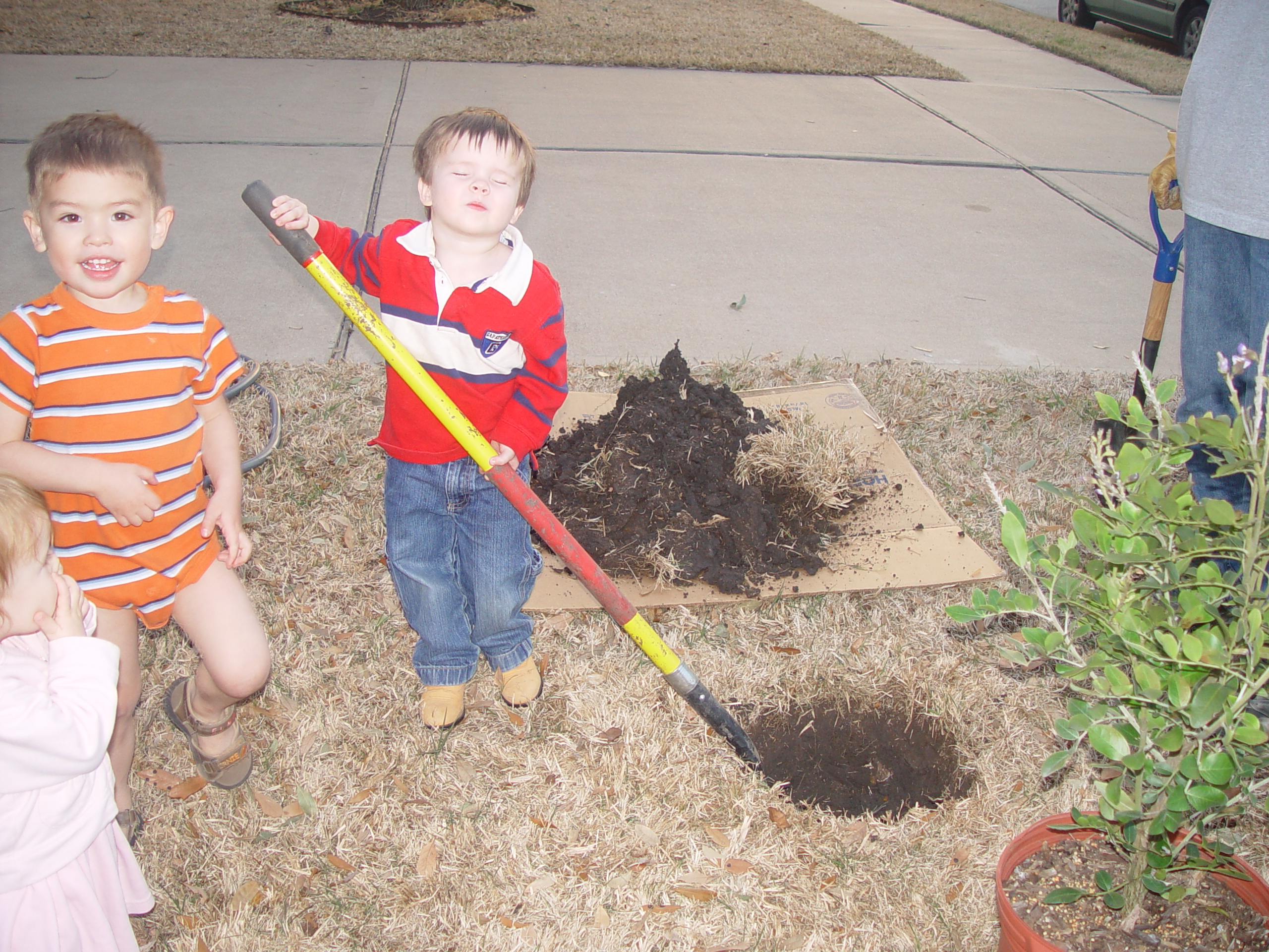 Coloring the Sidewalk w/ Ethan (Pearland, Texas), Planting Ava's Tree