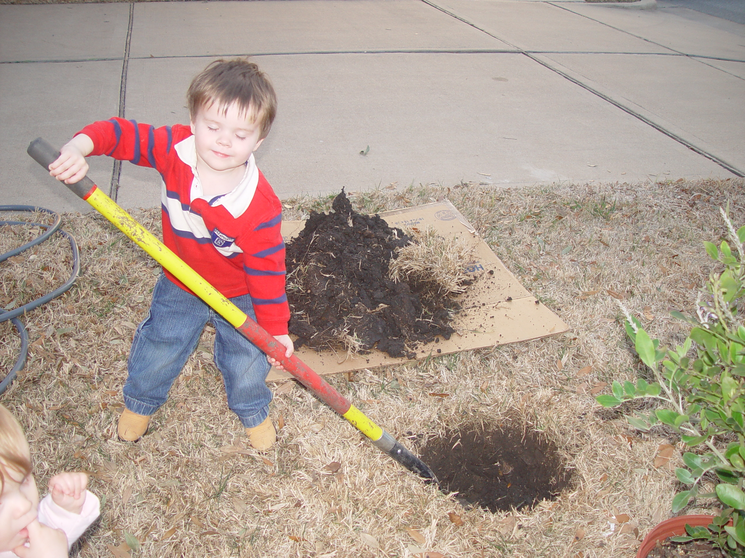 Coloring the Sidewalk w/ Ethan (Pearland, Texas), Planting Ava's Tree