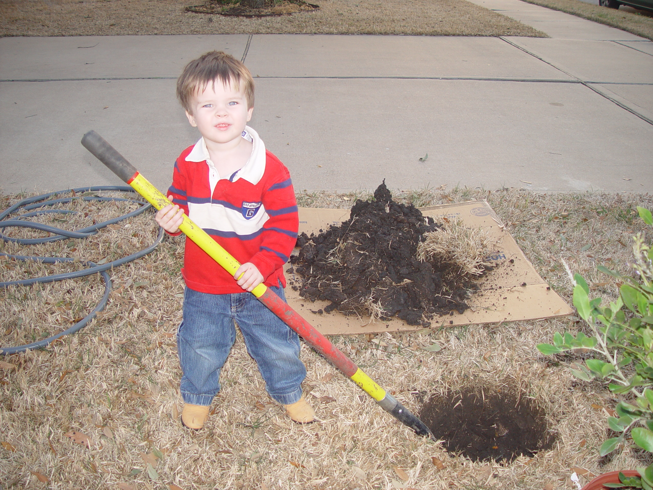 Coloring the Sidewalk w/ Ethan (Pearland, Texas), Planting Ava's Tree