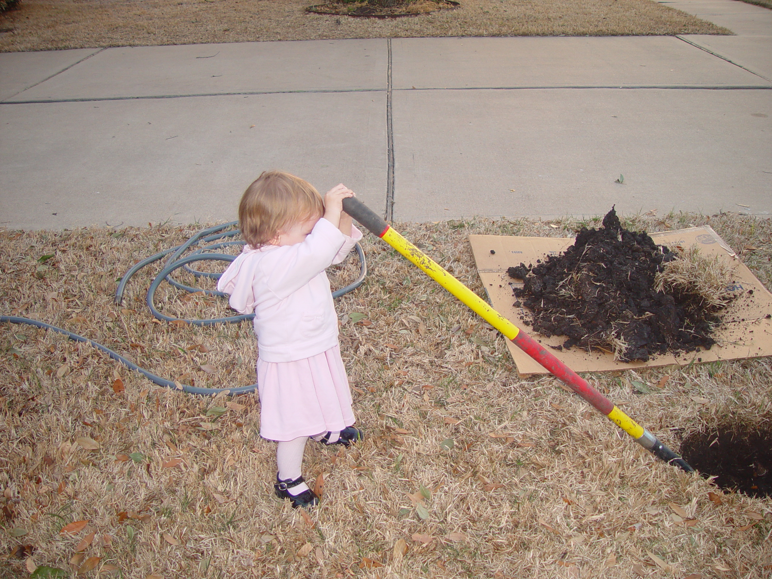 Coloring the Sidewalk w/ Ethan (Pearland, Texas), Planting Ava's Tree