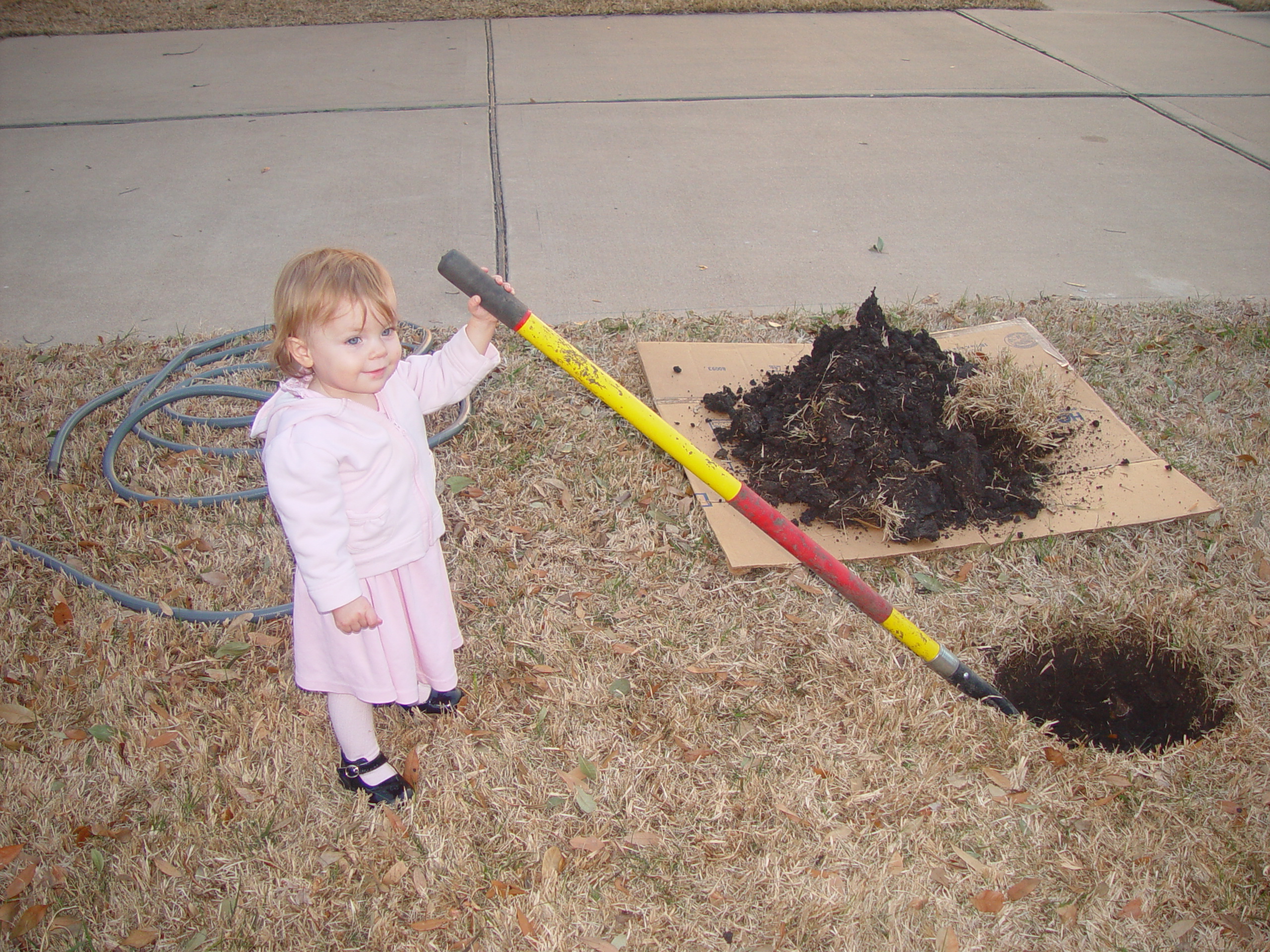 Coloring the Sidewalk w/ Ethan (Pearland, Texas), Planting Ava's Tree