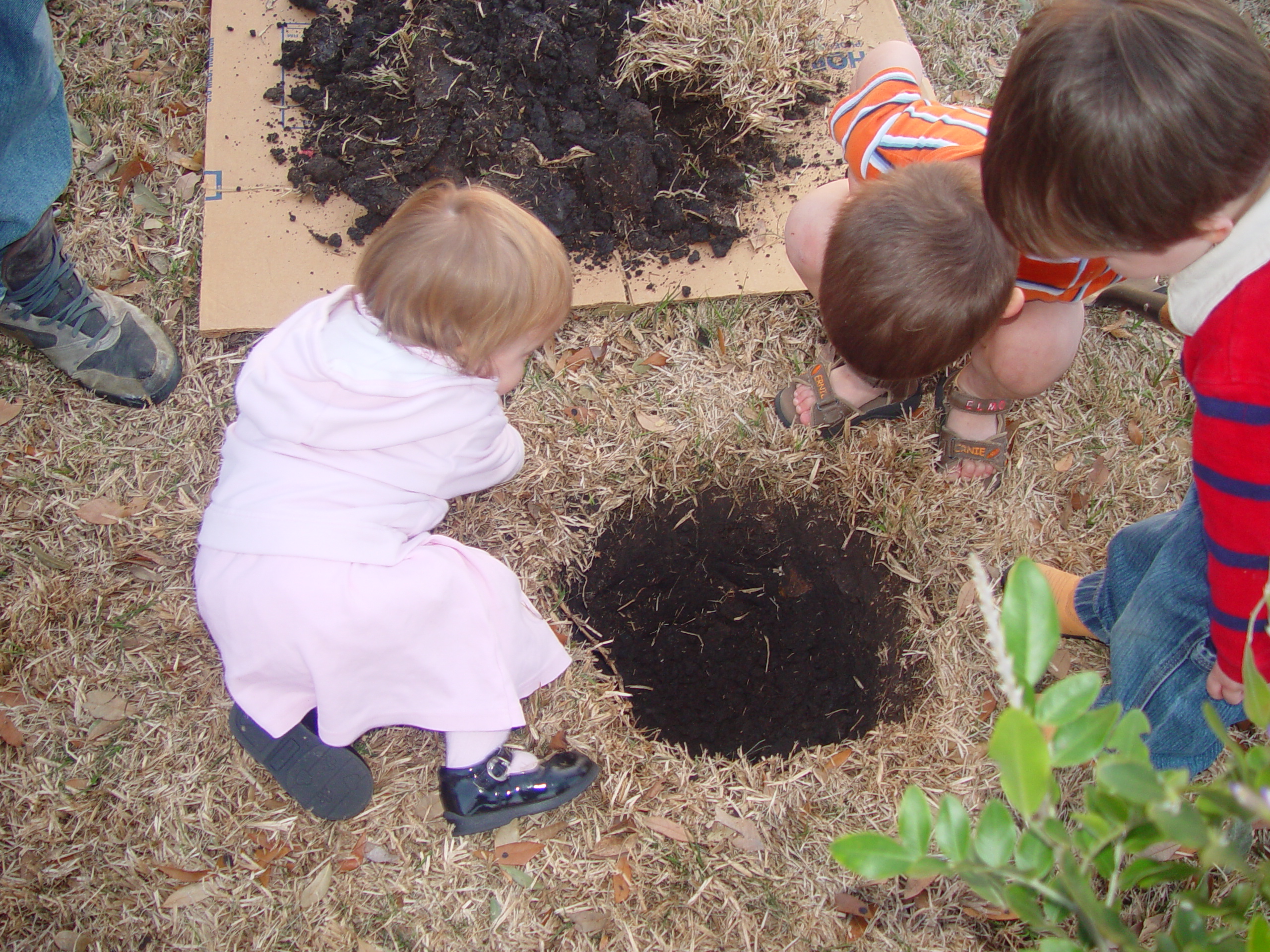 Coloring the Sidewalk w/ Ethan (Pearland, Texas), Planting Ava's Tree