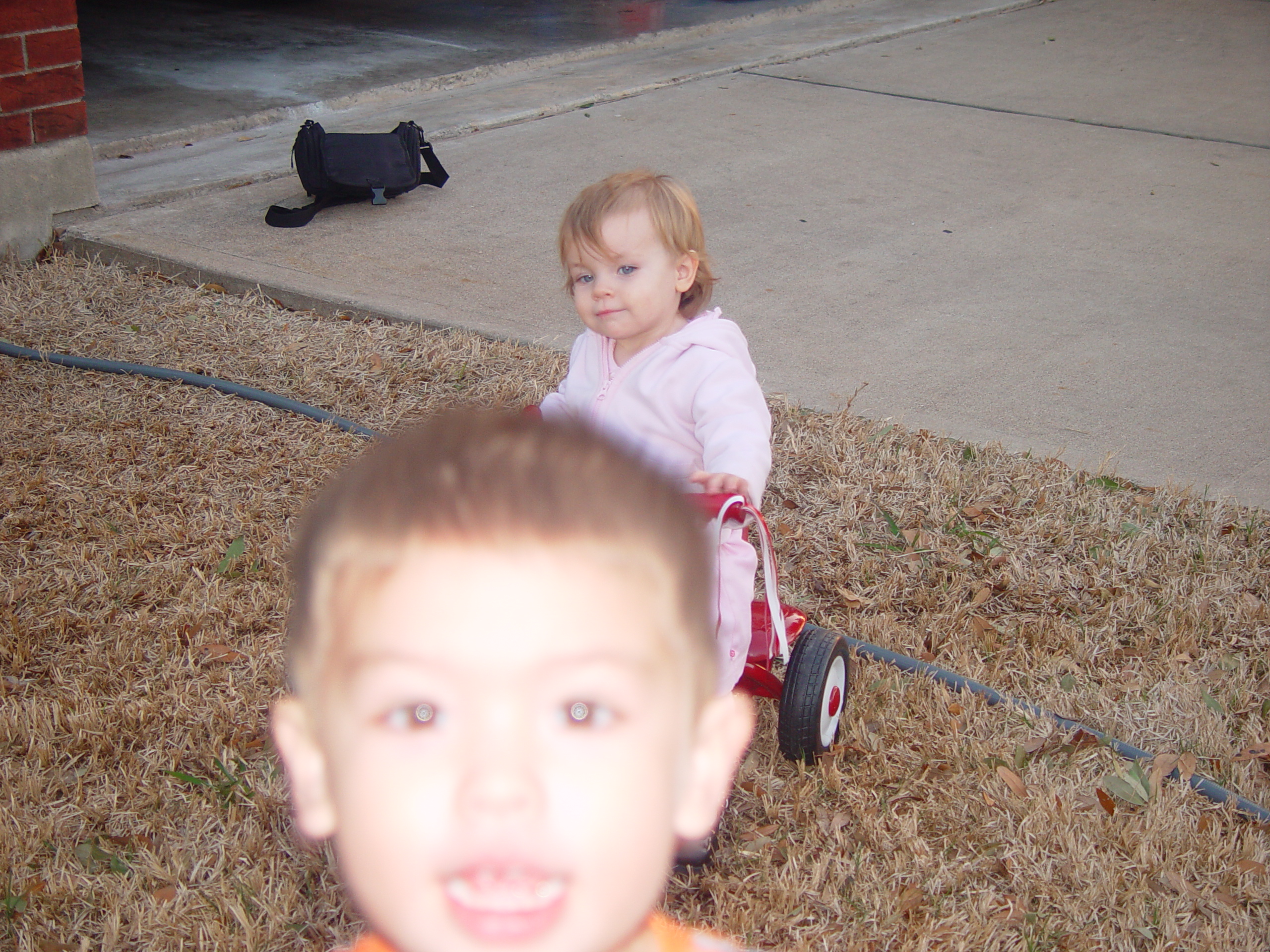 Coloring the Sidewalk w/ Ethan (Pearland, Texas), Planting Ava's Tree