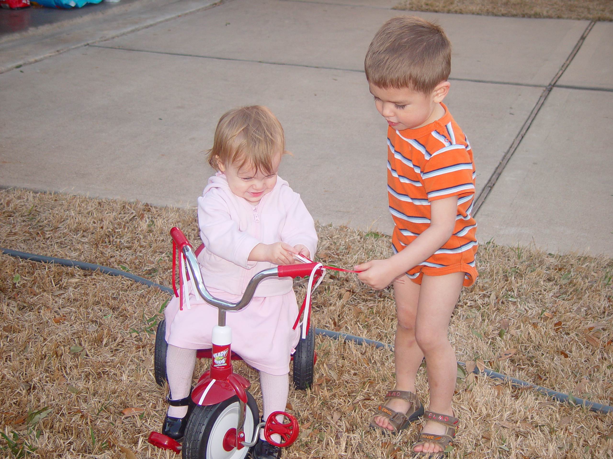 Coloring the Sidewalk w/ Ethan (Pearland, Texas), Planting Ava's Tree