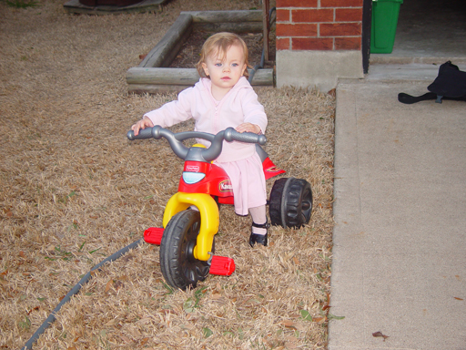 Coloring the Sidewalk w/ Ethan (Pearland, Texas), Planting Ava's Tree