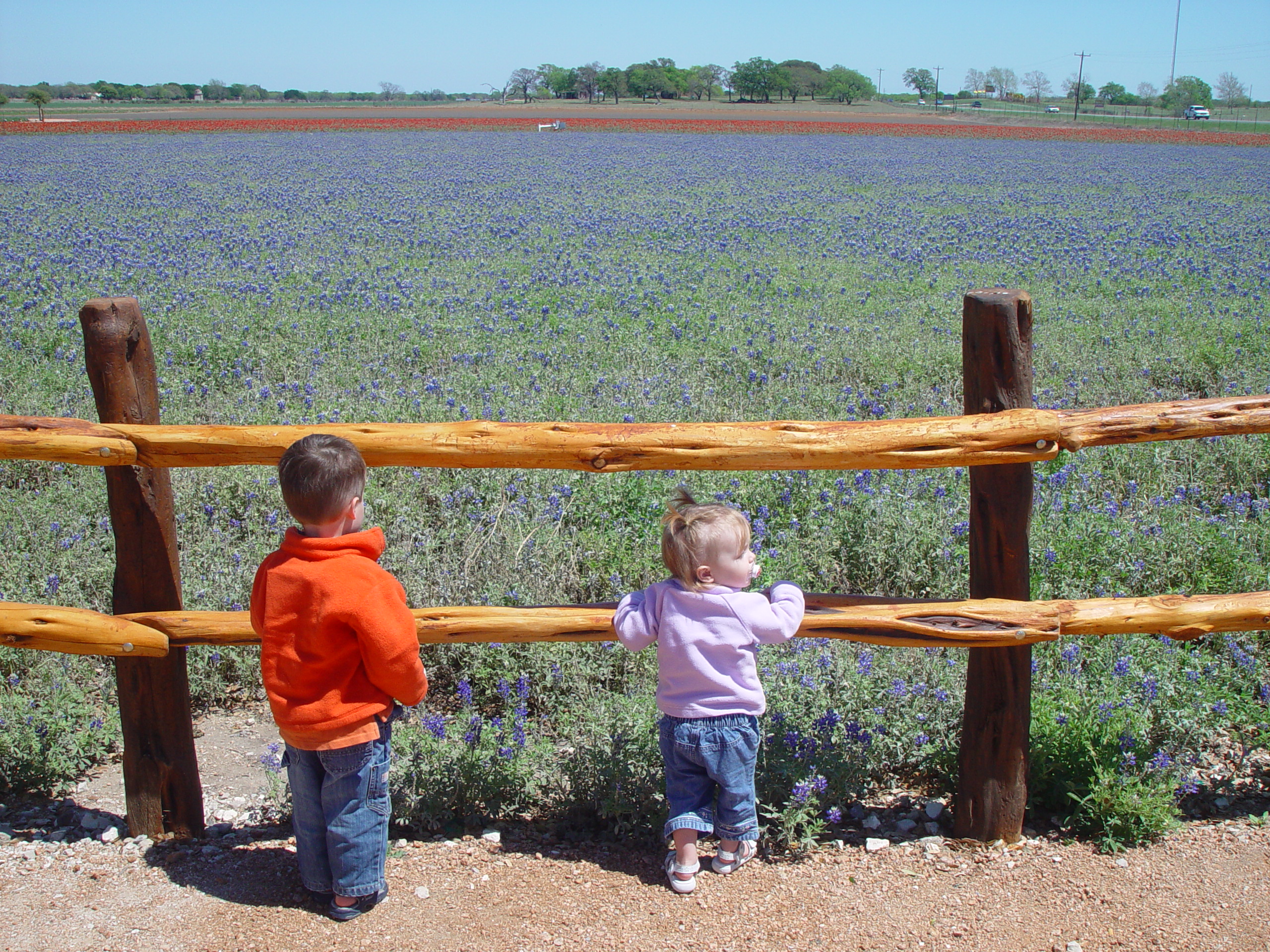 Bluebonnets, Climbing Enchanted Rock, Cooper's Old Time Pit Bar-B-Que (Home of the Big Chop)