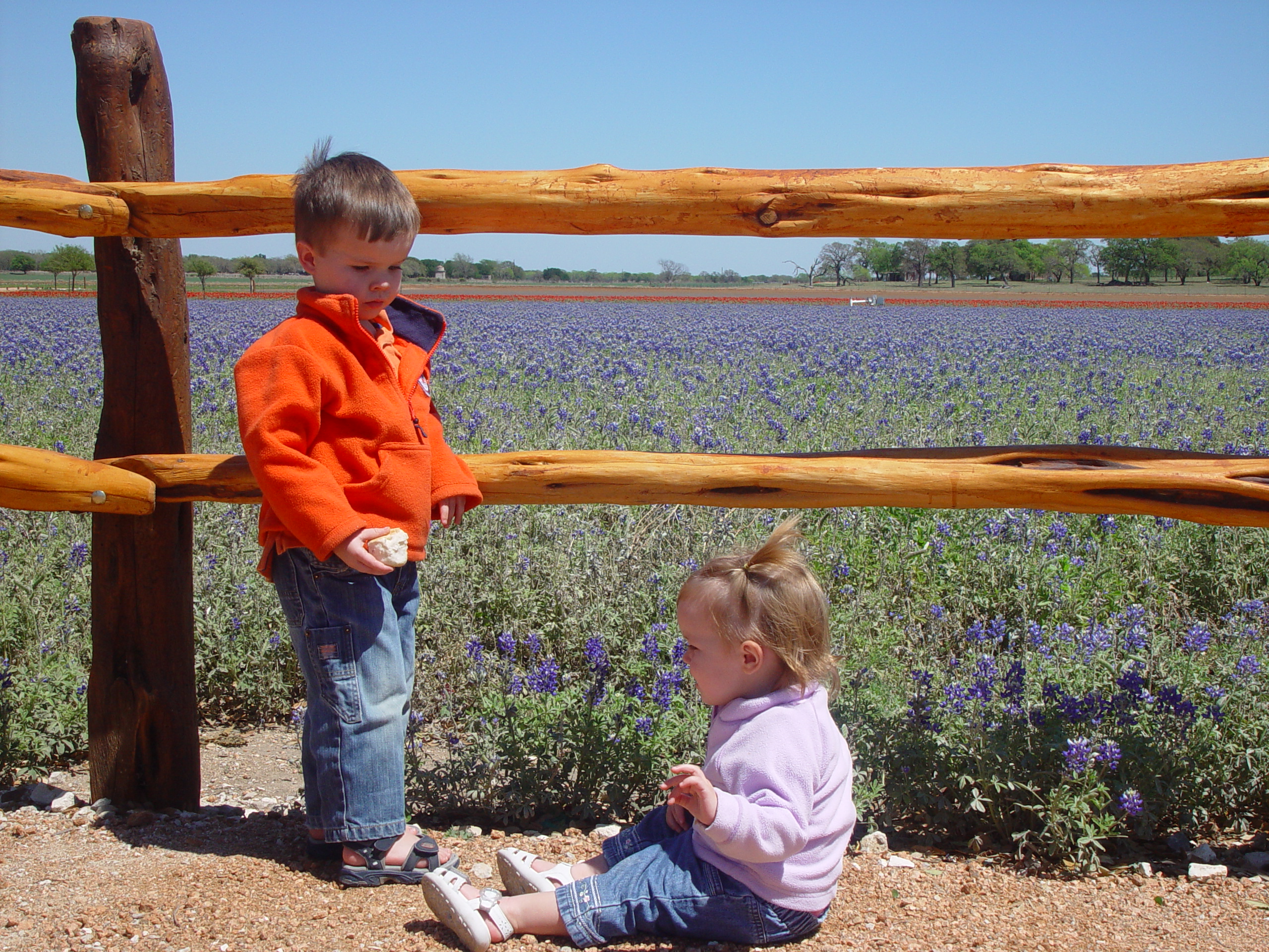 Bluebonnets, Climbing Enchanted Rock, Cooper's Old Time Pit Bar-B-Que (Home of the Big Chop)