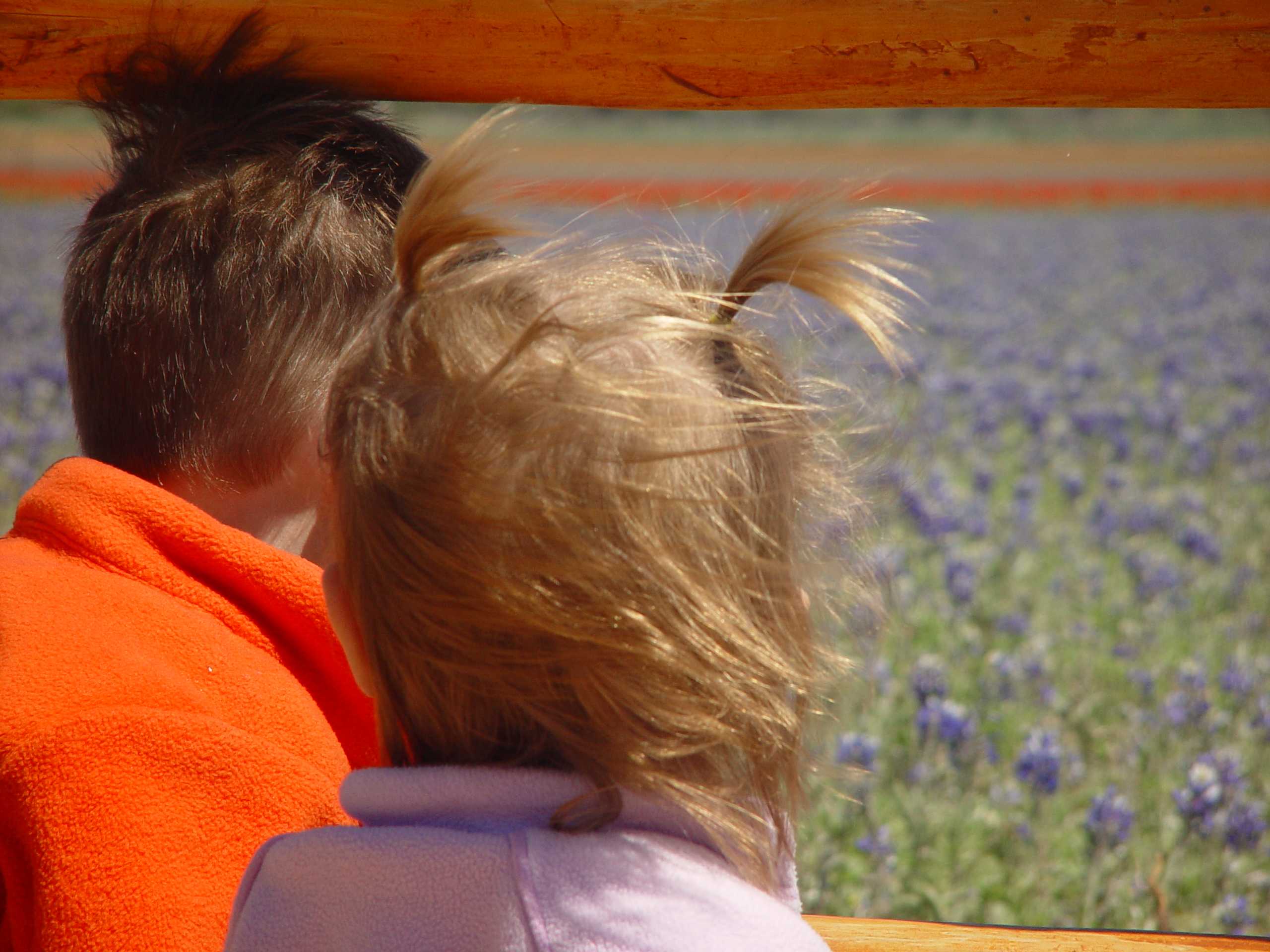 Bluebonnets, Climbing Enchanted Rock, Cooper's Old Time Pit Bar-B-Que (Home of the Big Chop)