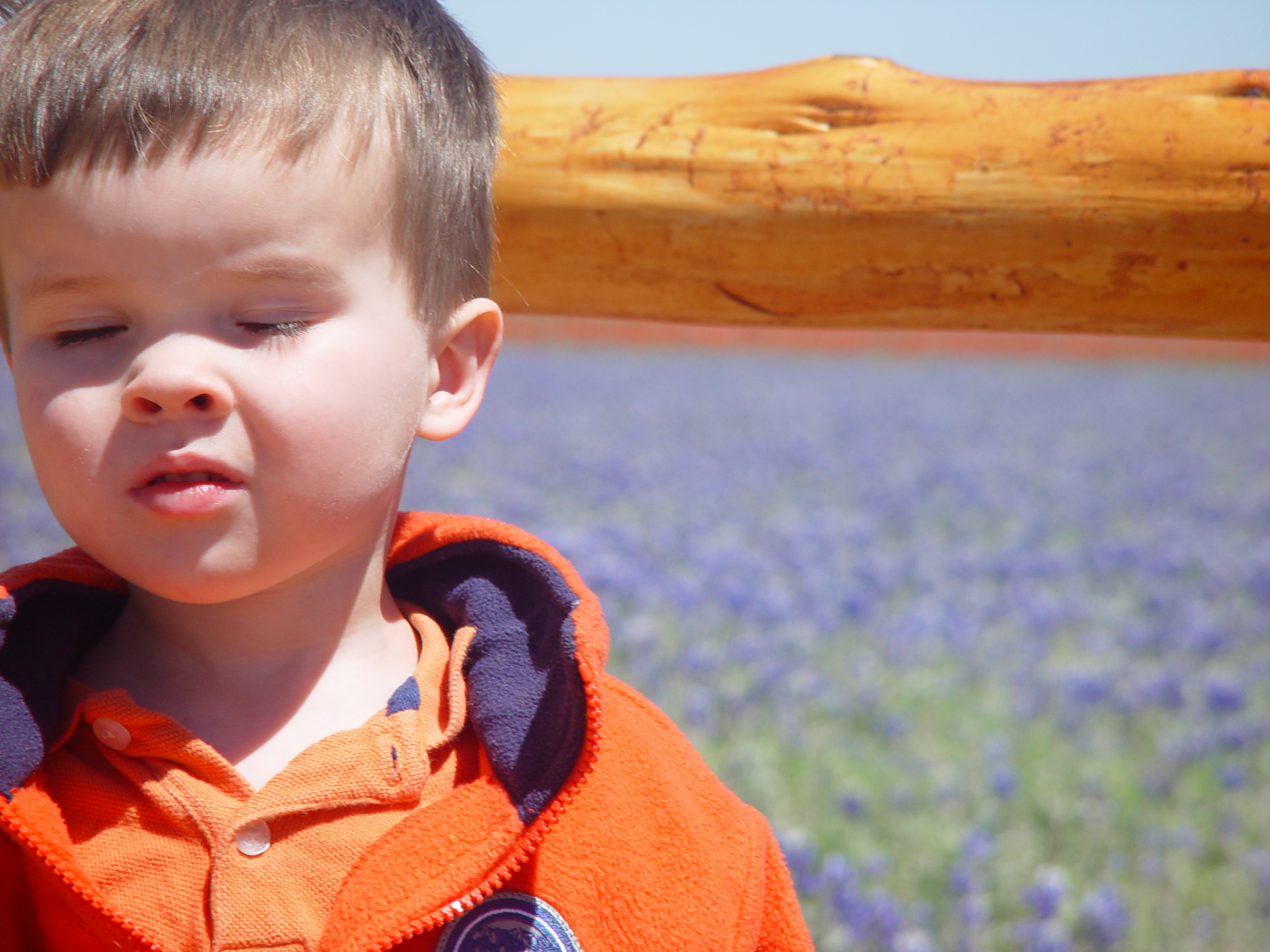 Bluebonnets, Climbing Enchanted Rock, Cooper's Old Time Pit Bar-B-Que (Home of the Big Chop)