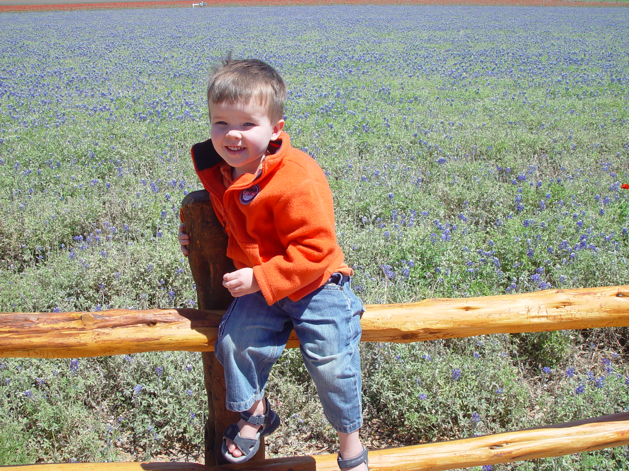 Bluebonnets, Climbing Enchanted Rock, Cooper's Old Time Pit Bar-B-Que (Home of the Big Chop)