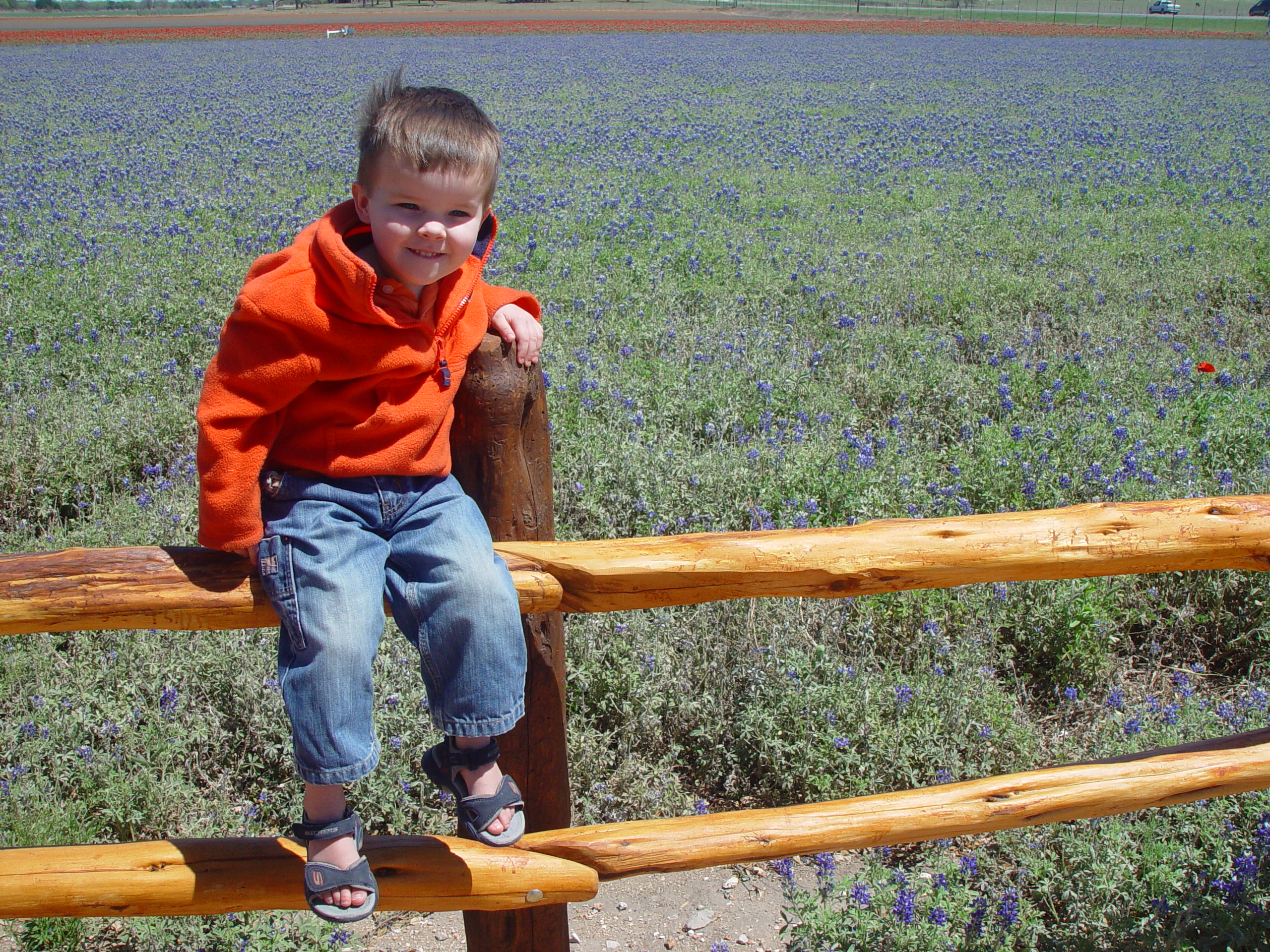 Bluebonnets, Climbing Enchanted Rock, Cooper's Old Time Pit Bar-B-Que (Home of the Big Chop)