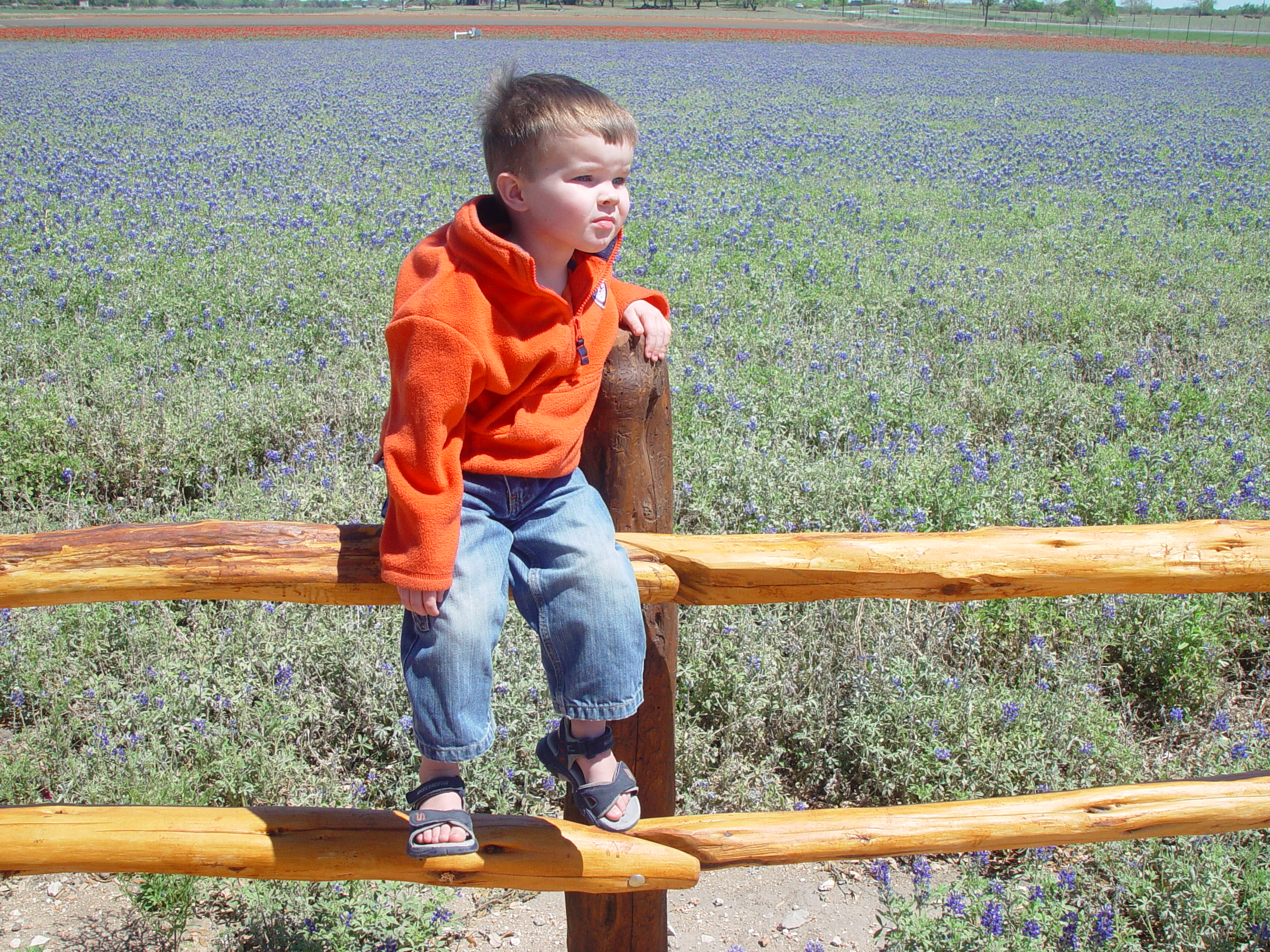 Bluebonnets, Climbing Enchanted Rock, Cooper's Old Time Pit Bar-B-Que (Home of the Big Chop)