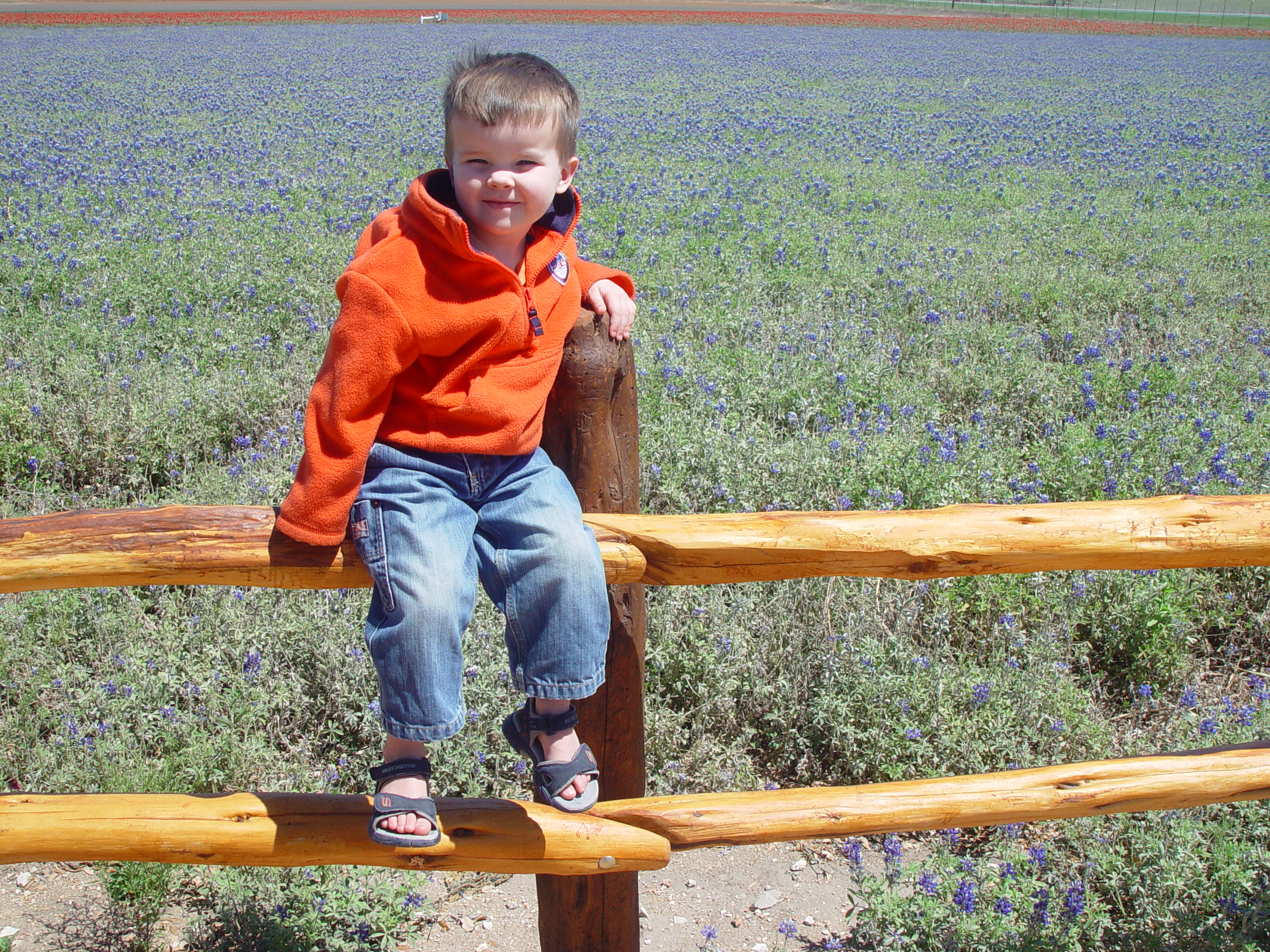 Bluebonnets, Climbing Enchanted Rock, Cooper's Old Time Pit Bar-B-Que (Home of the Big Chop)