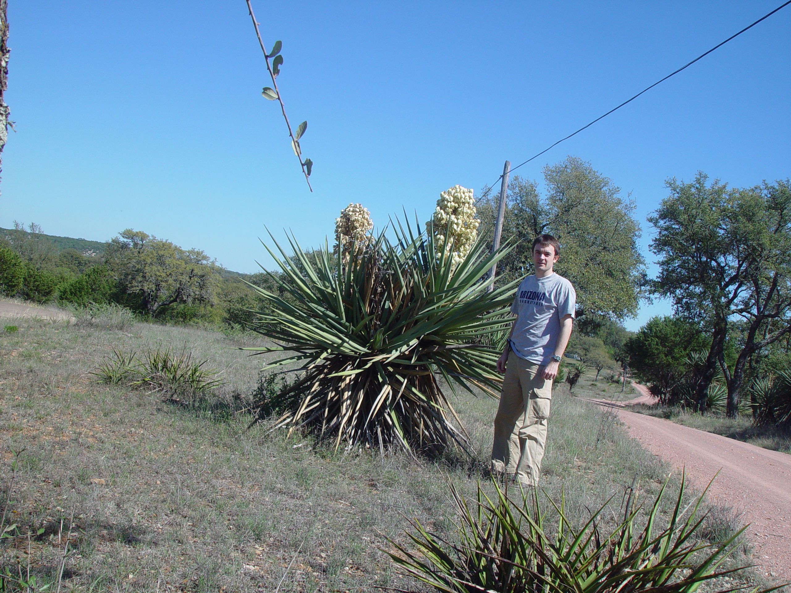 Bluebonnets, Climbing Enchanted Rock, Cooper's Old Time Pit Bar-B-Que (Home of the Big Chop)