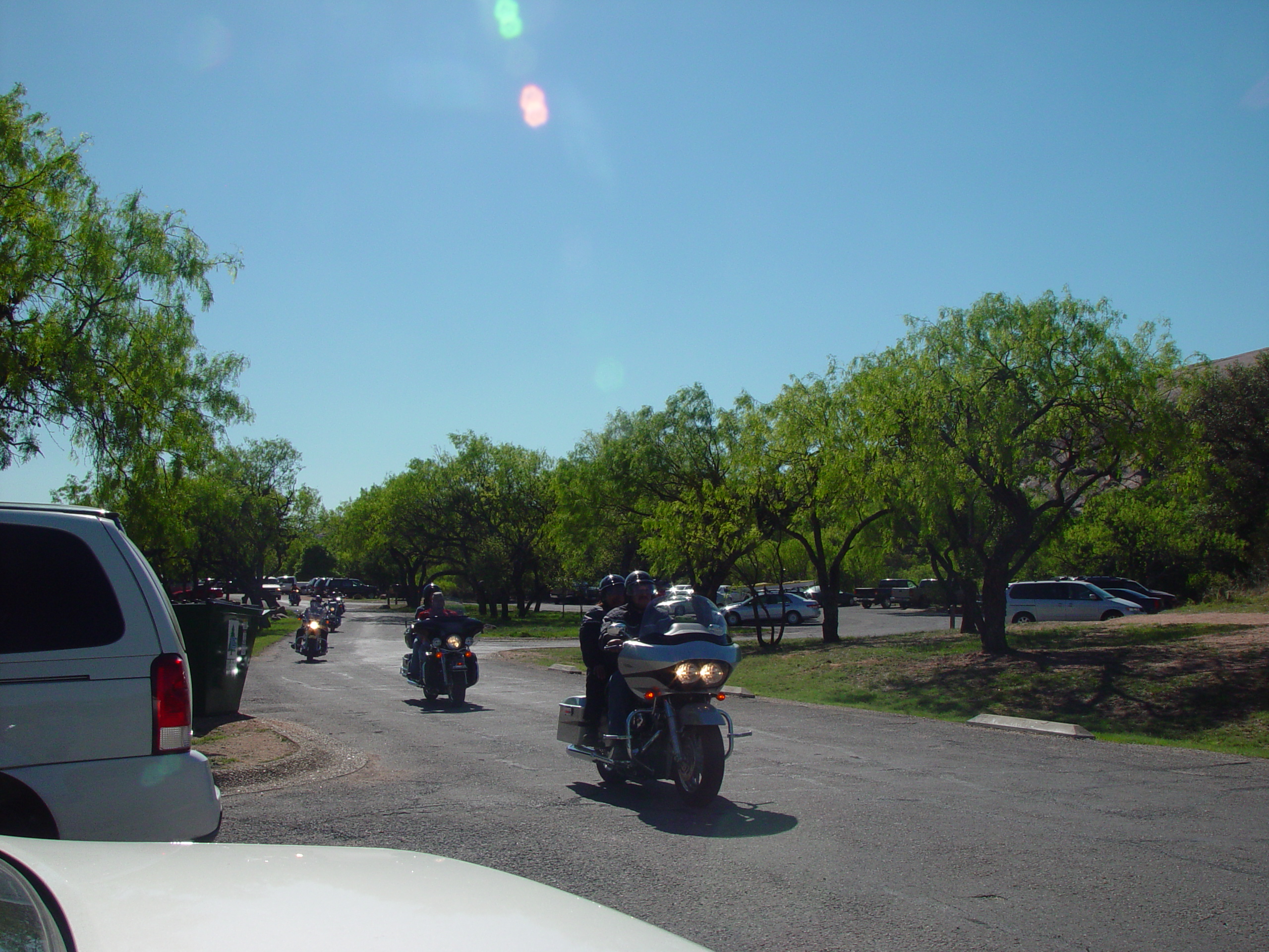 Bluebonnets, Climbing Enchanted Rock, Cooper's Old Time Pit Bar-B-Que (Home of the Big Chop)