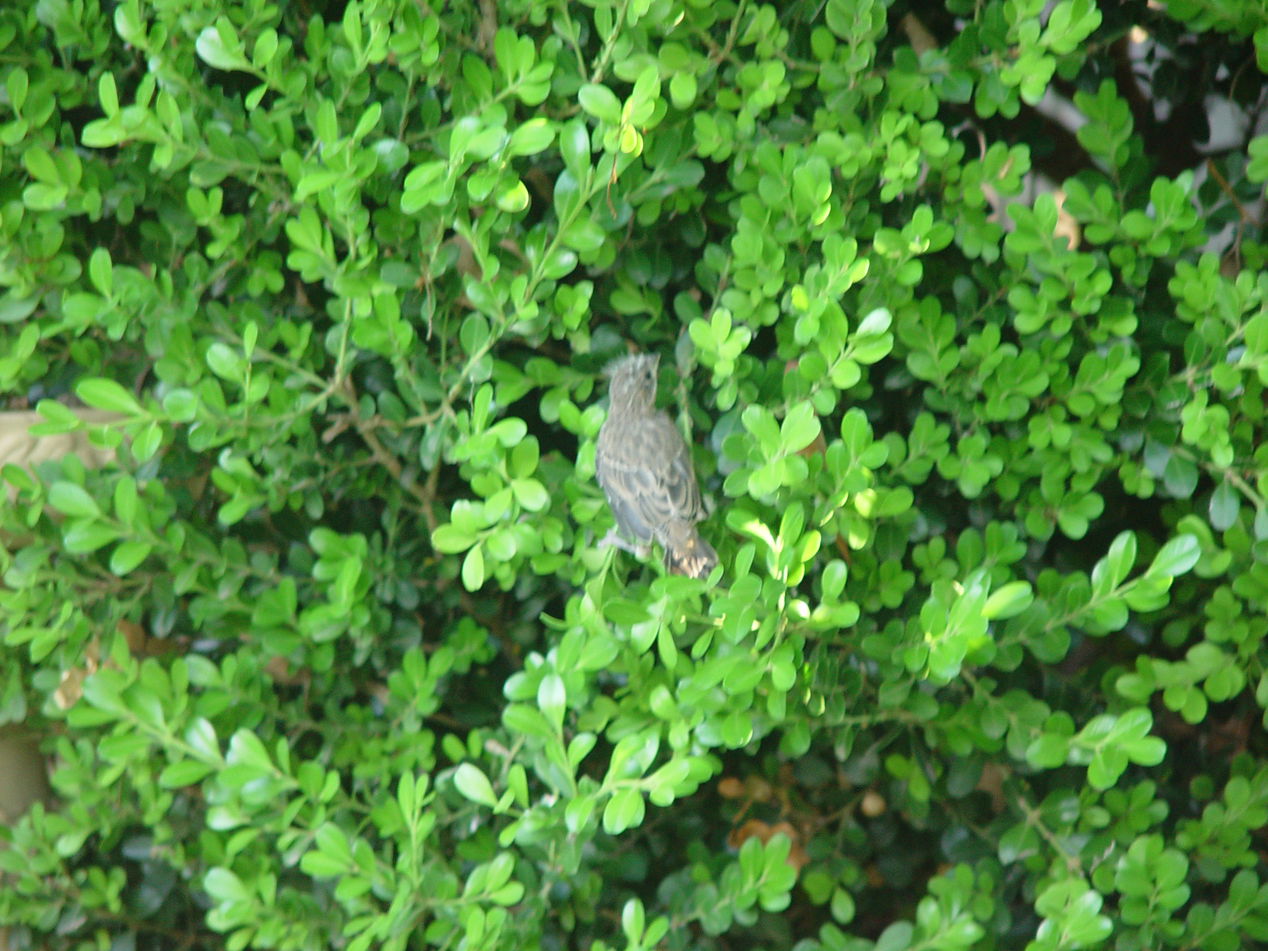 Easter 2006