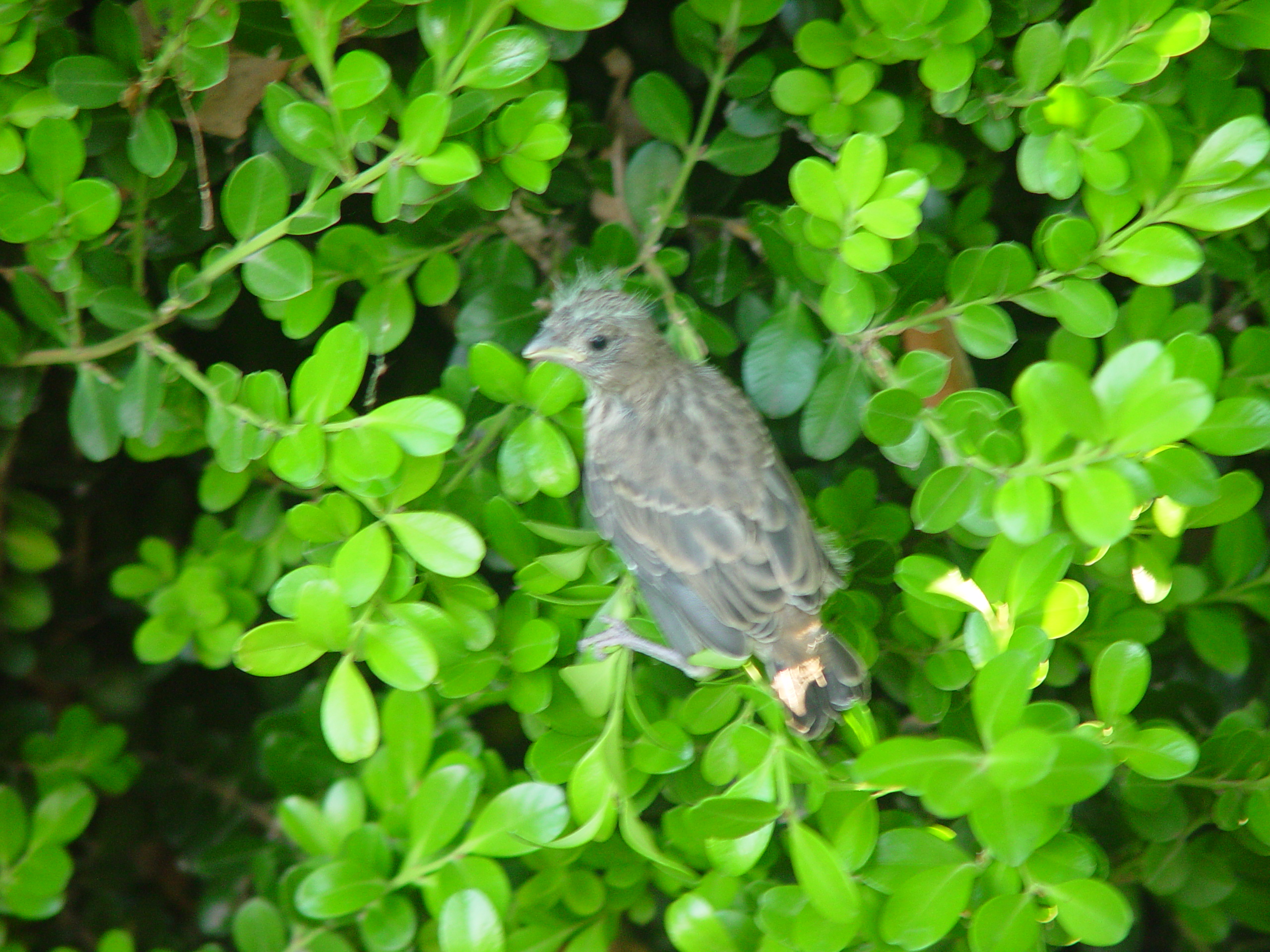 Easter 2006