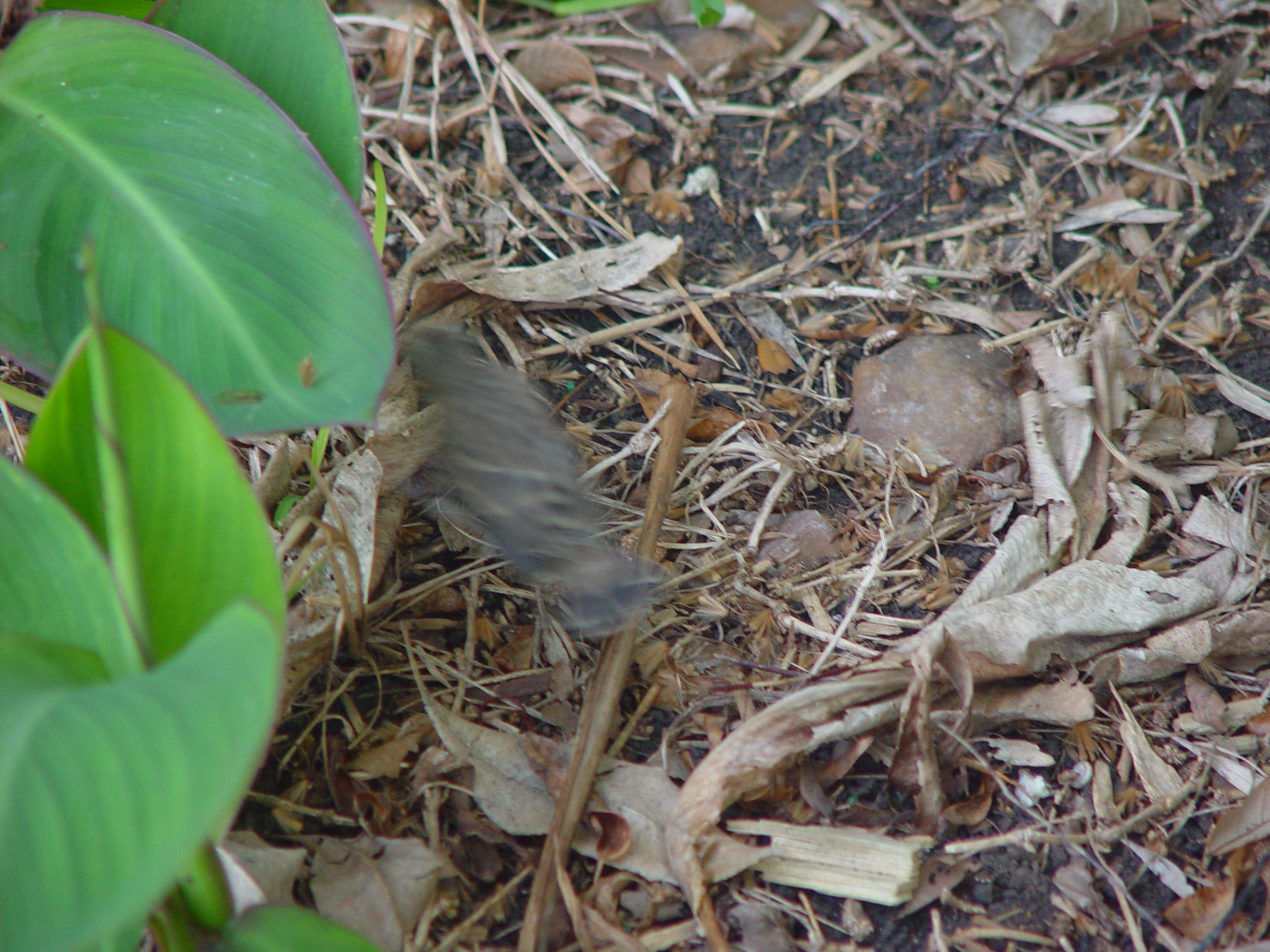Easter 2006