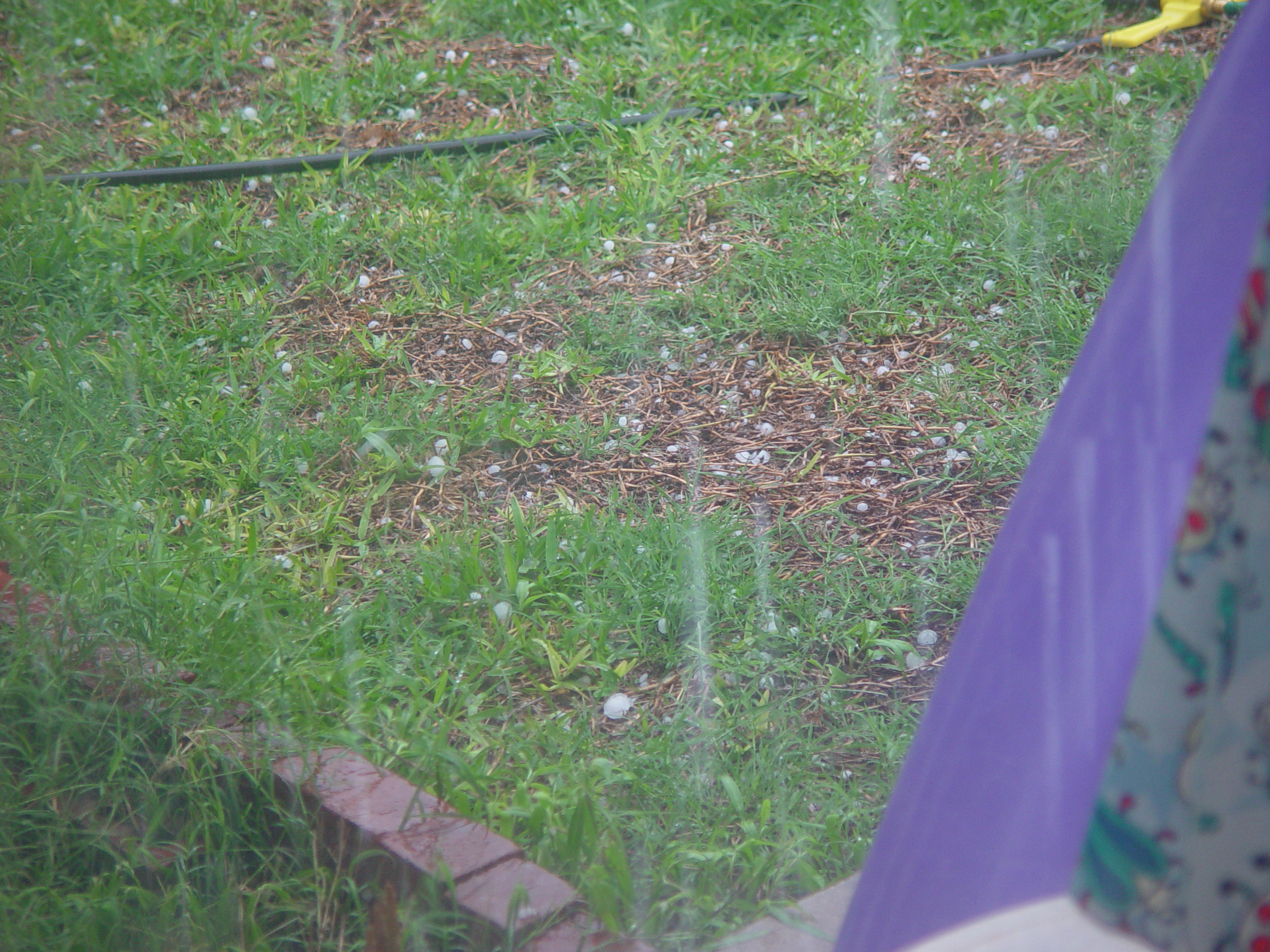 Texas Hailstorm, Playgroup at the Austin Zoo, Jen's Birthday
