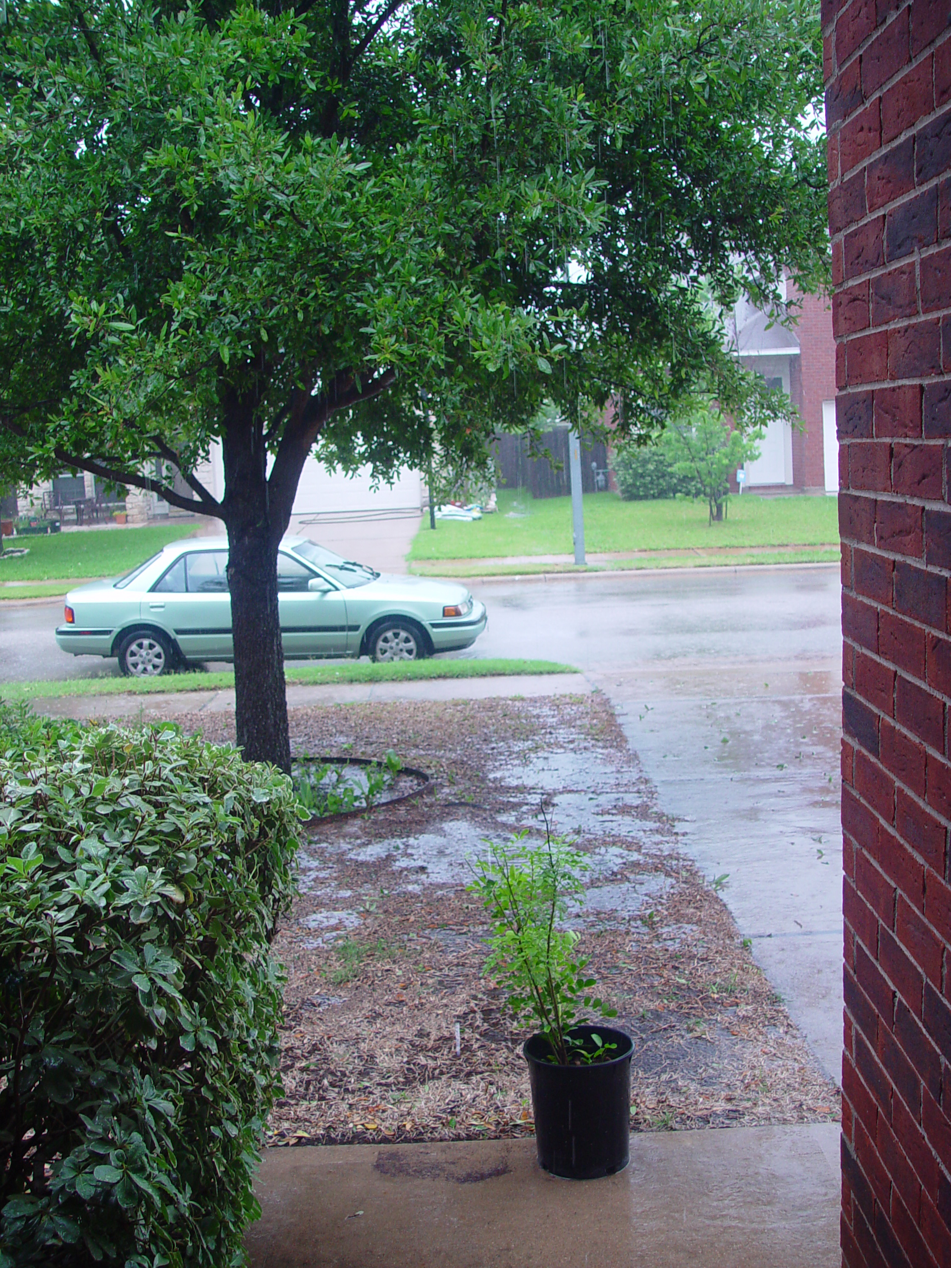 Texas Hailstorm, Playgroup at the Austin Zoo, Jen's Birthday