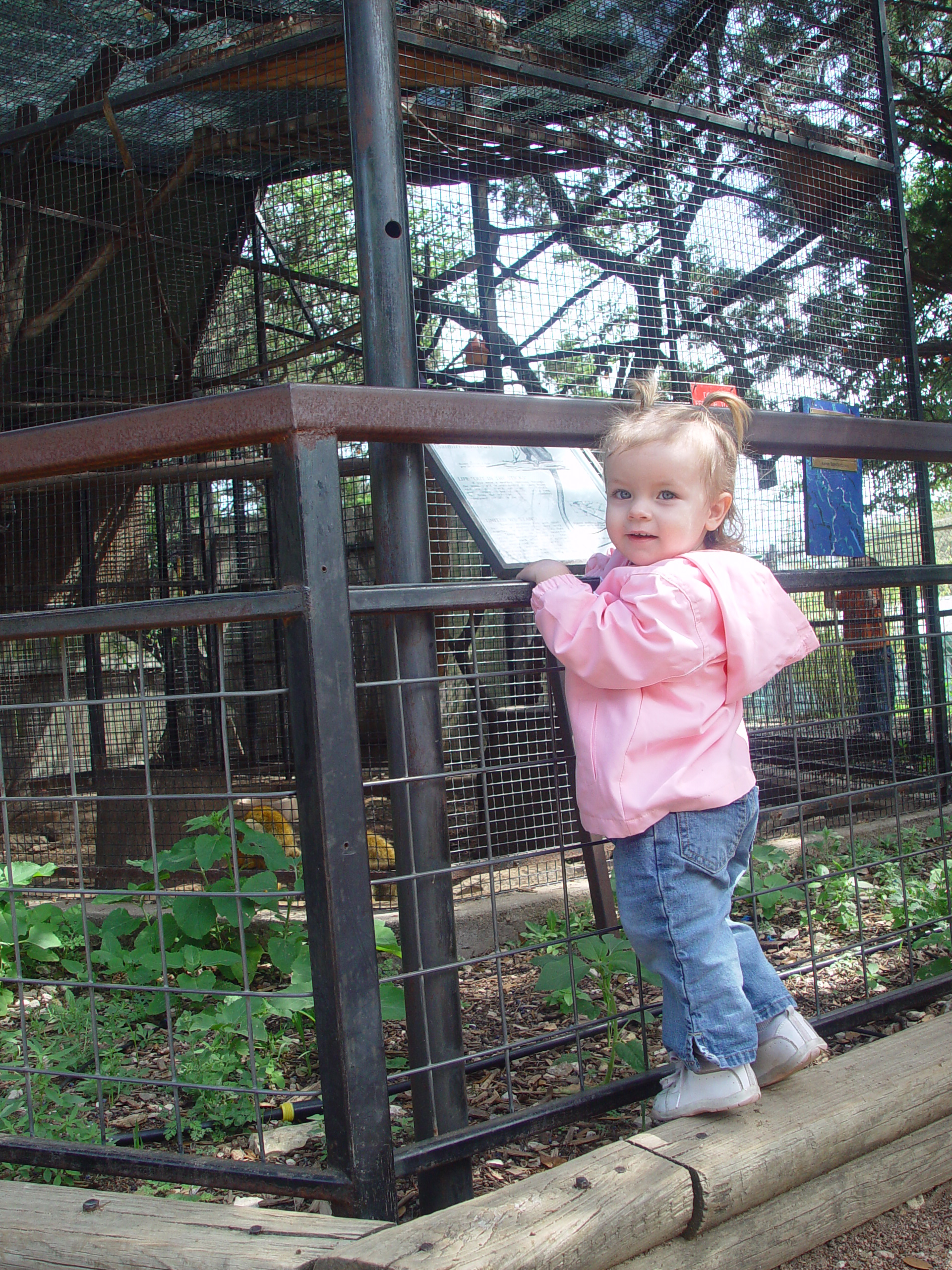 Texas Hailstorm, Playgroup at the Austin Zoo, Jen's Birthday