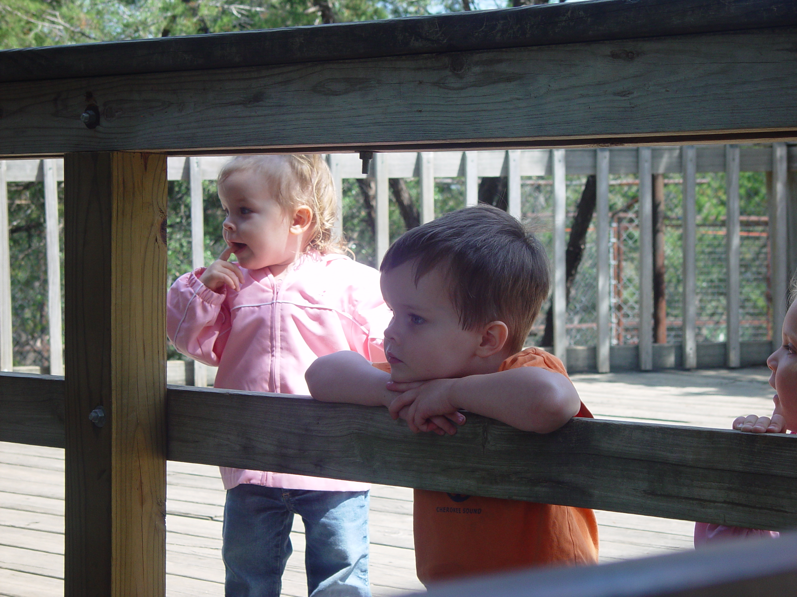 Texas Hailstorm, Playgroup at the Austin Zoo, Jen's Birthday