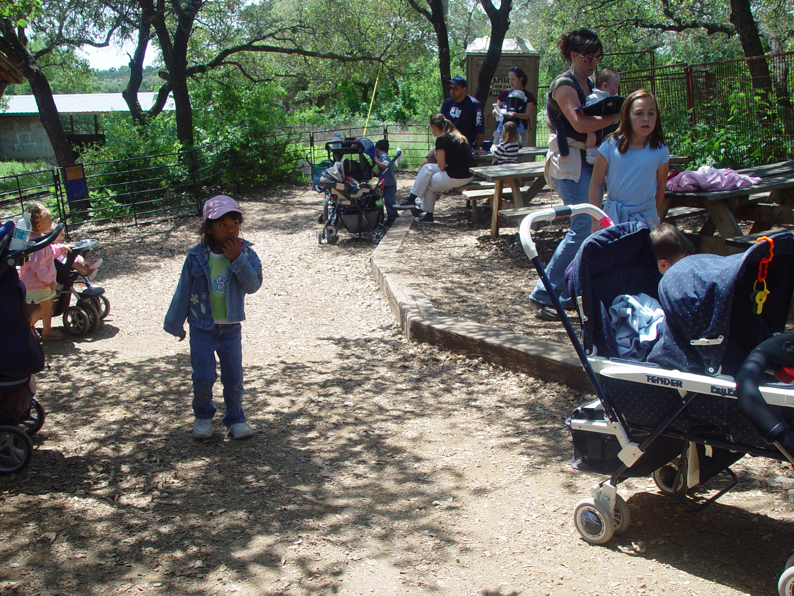 Texas Hailstorm, Playgroup at the Austin Zoo, Jen's Birthday